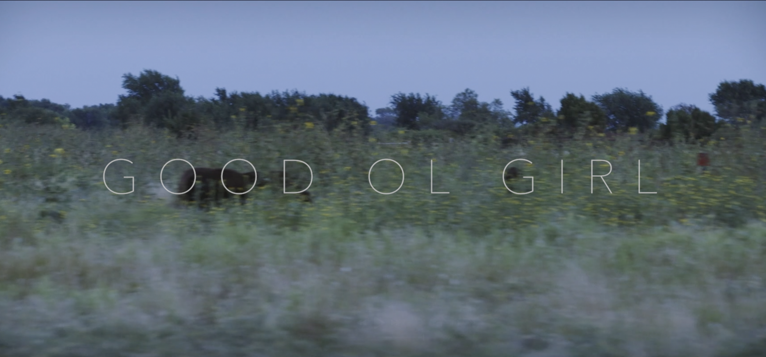 Screenshot 2025-07-25 at 1.16.13 PM.png