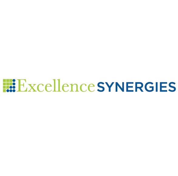 ExcellenceSynergies