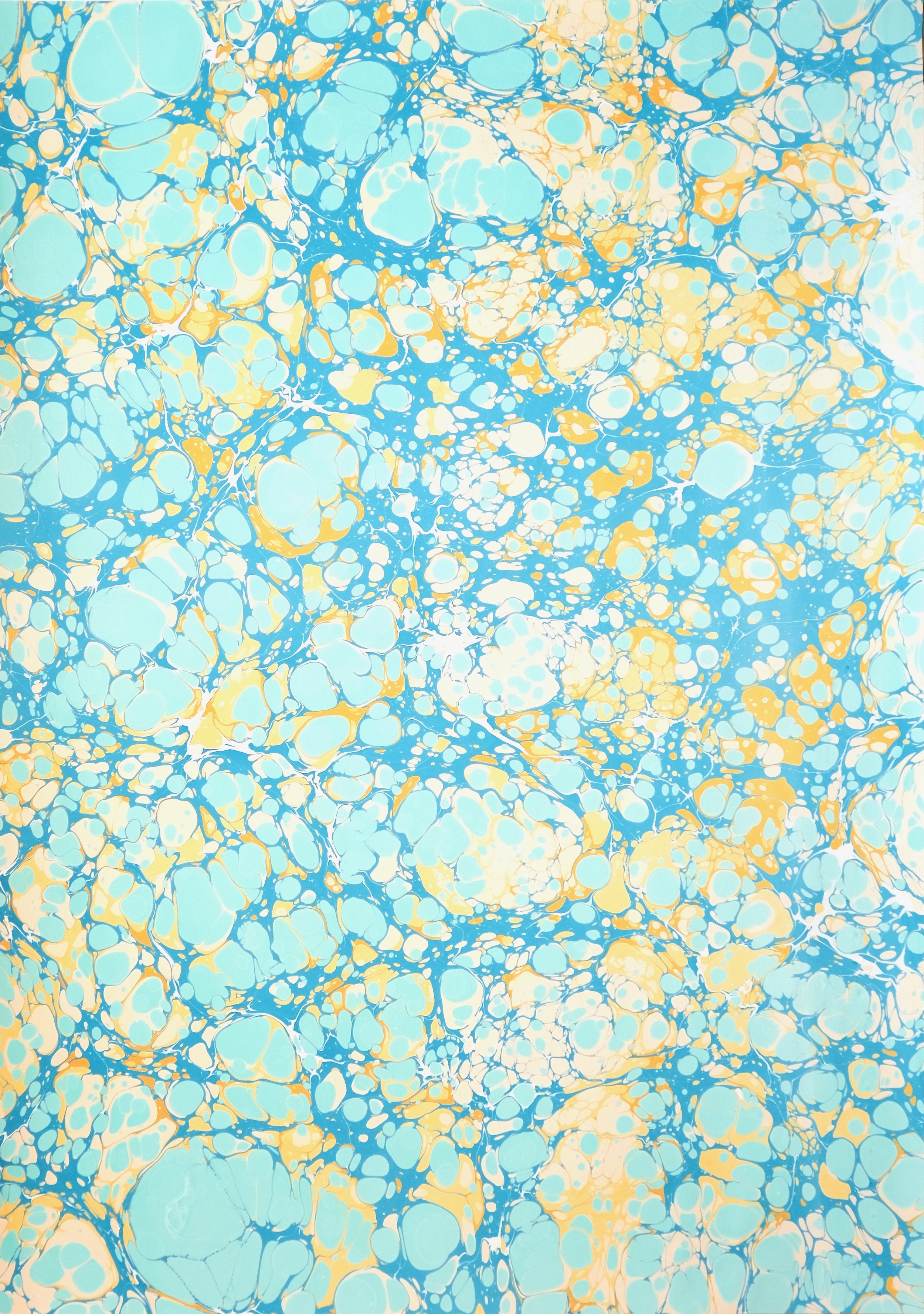 B12-85x120cm-1.jpeg