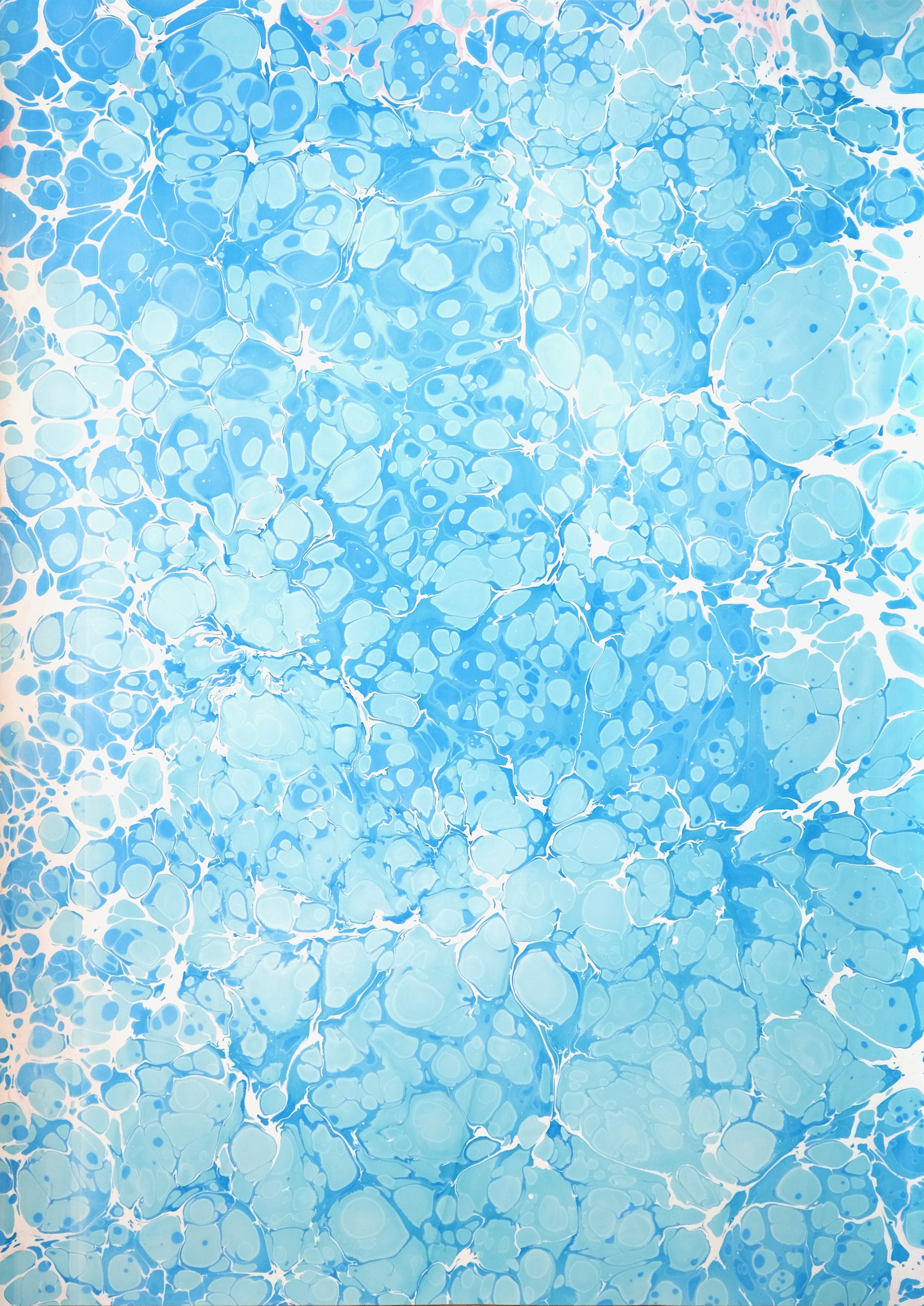 B1-100x140-1.jpeg