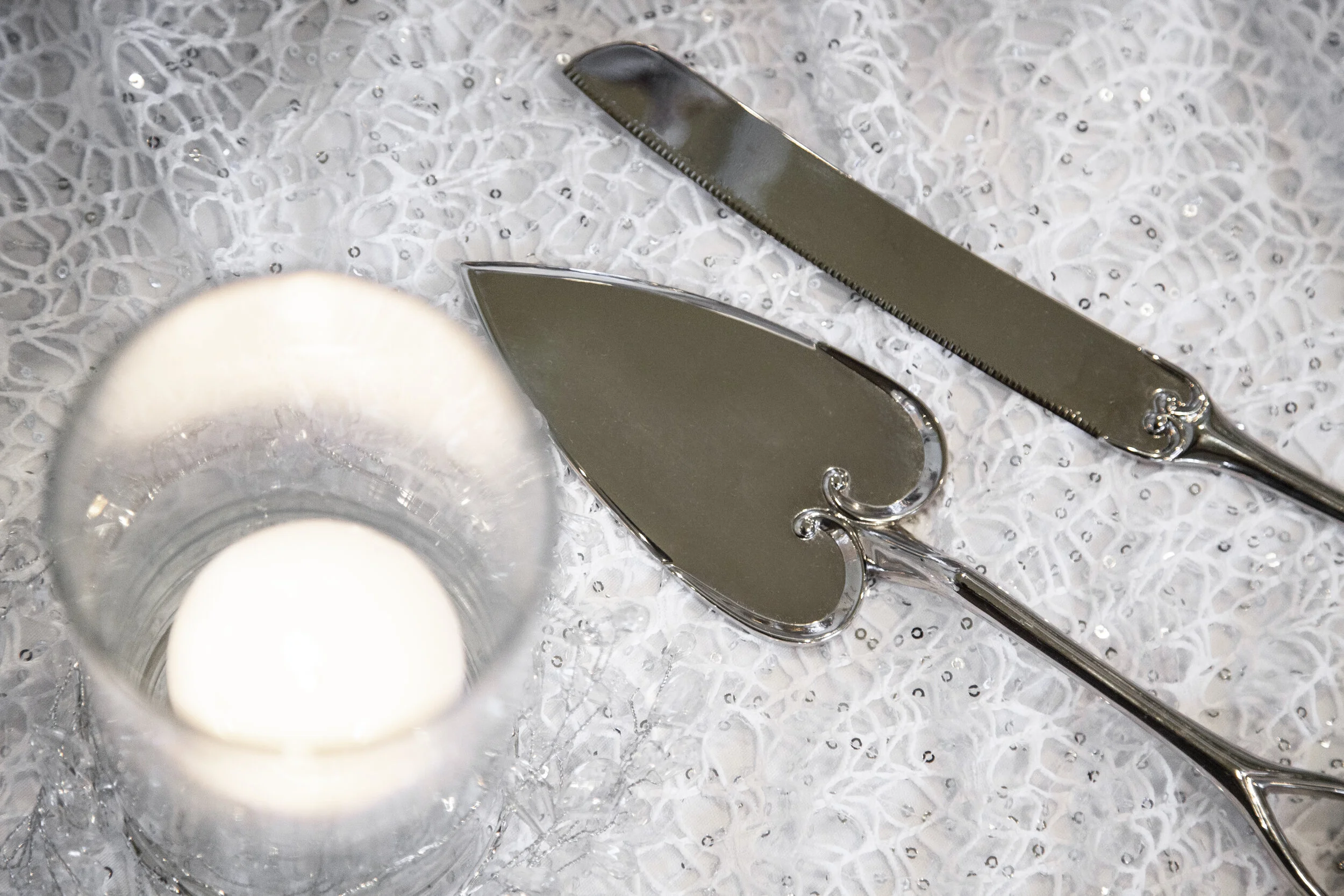 Lake Tahoe wedding ceremony photographed near Reno NV.