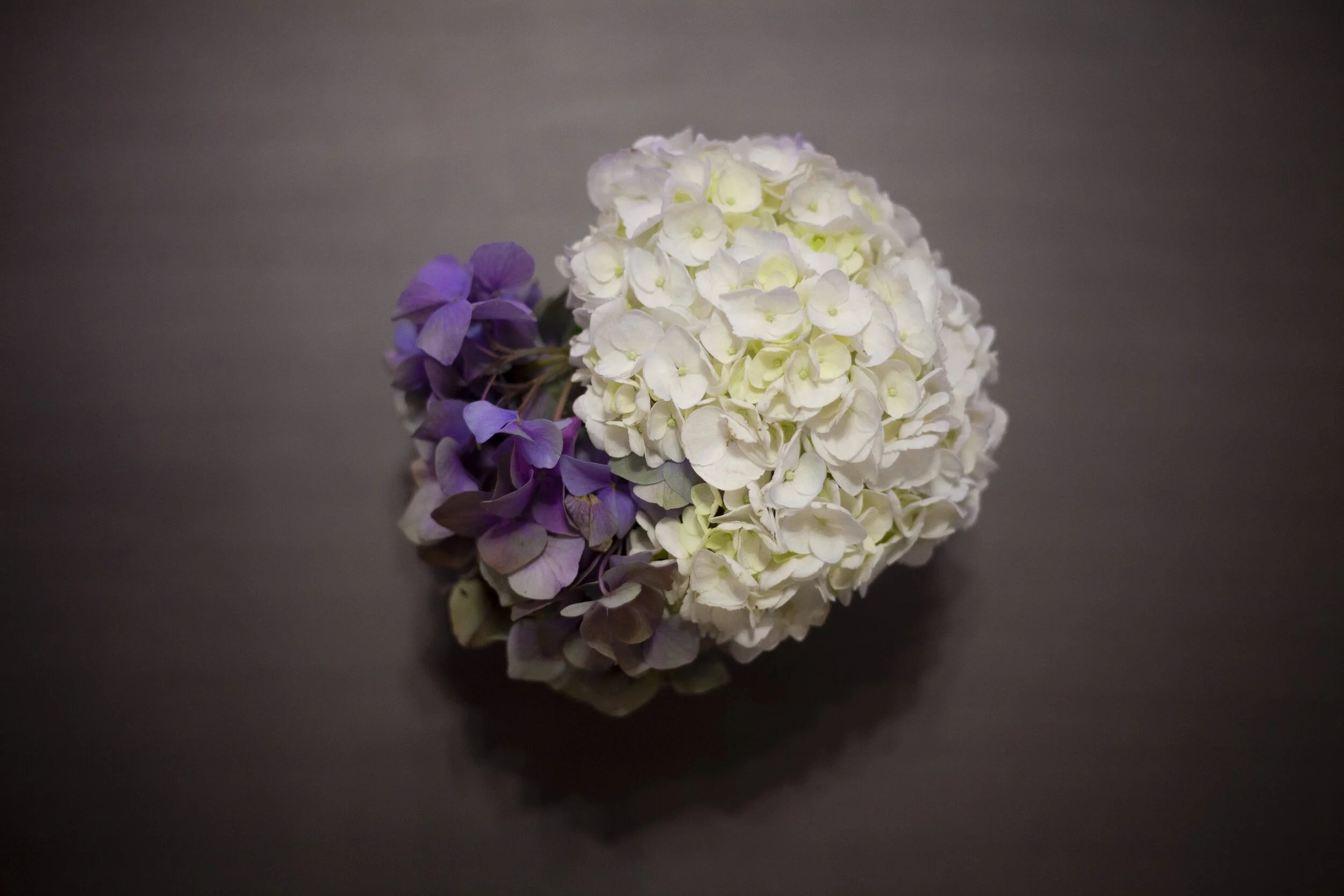 Reno NV professional wedding photography near Lake Tahoe.