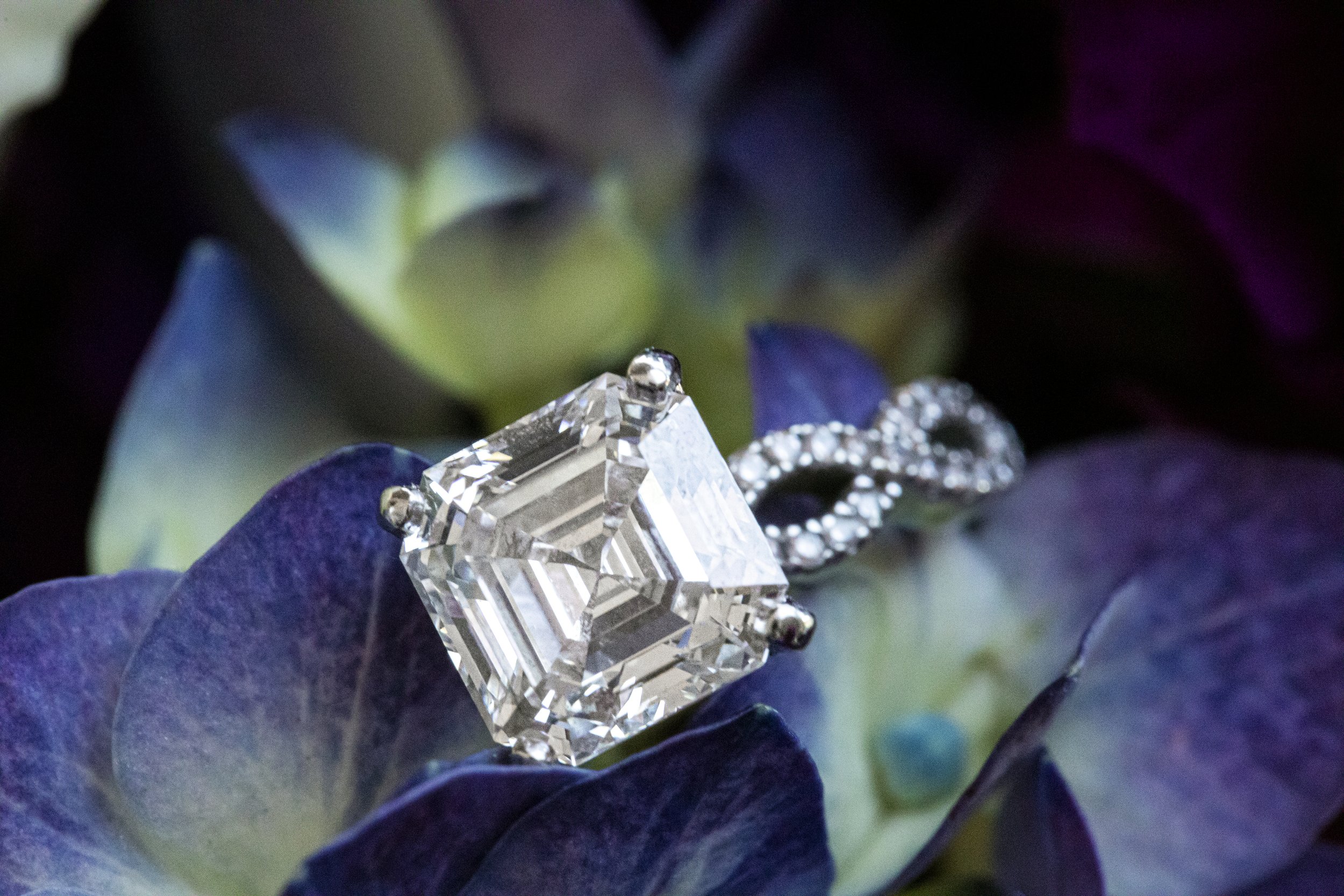 Carson City Lake Tahoe elopement photography near Reno NV.