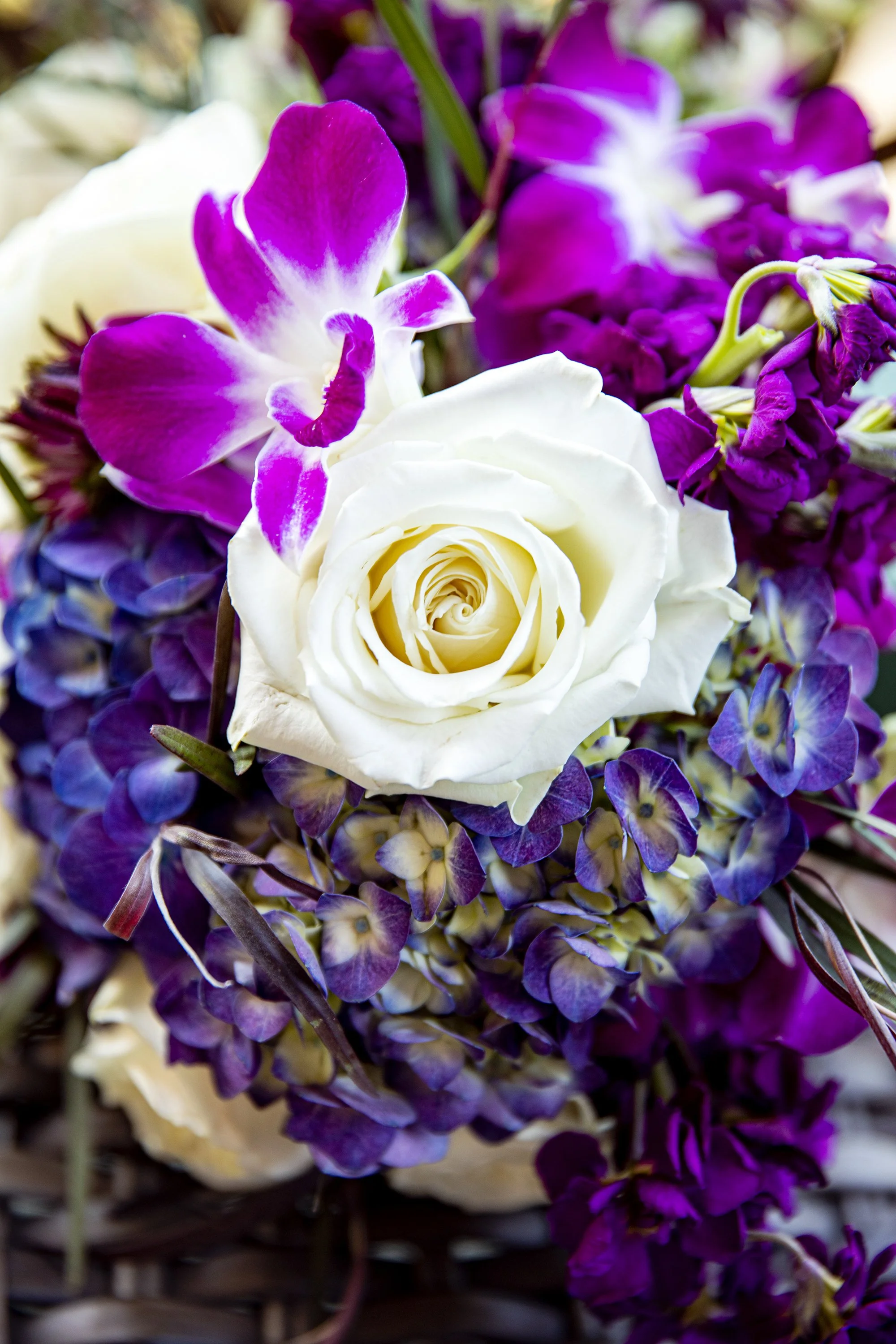 Lake Tahoe outdoor wedding portrait near Reno Nevada.