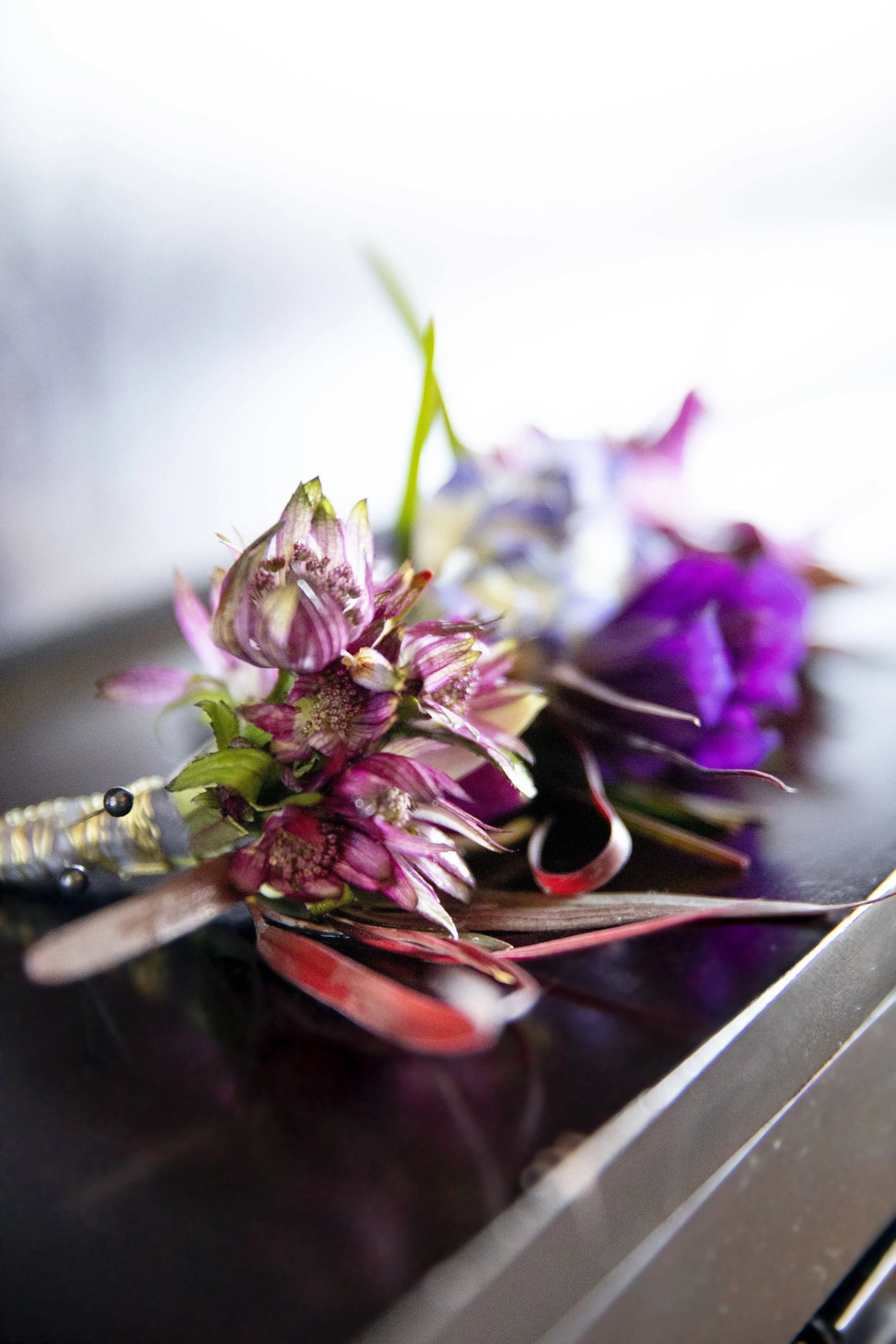 Reno NV elopement portraits with Lake Tahoe in the background.