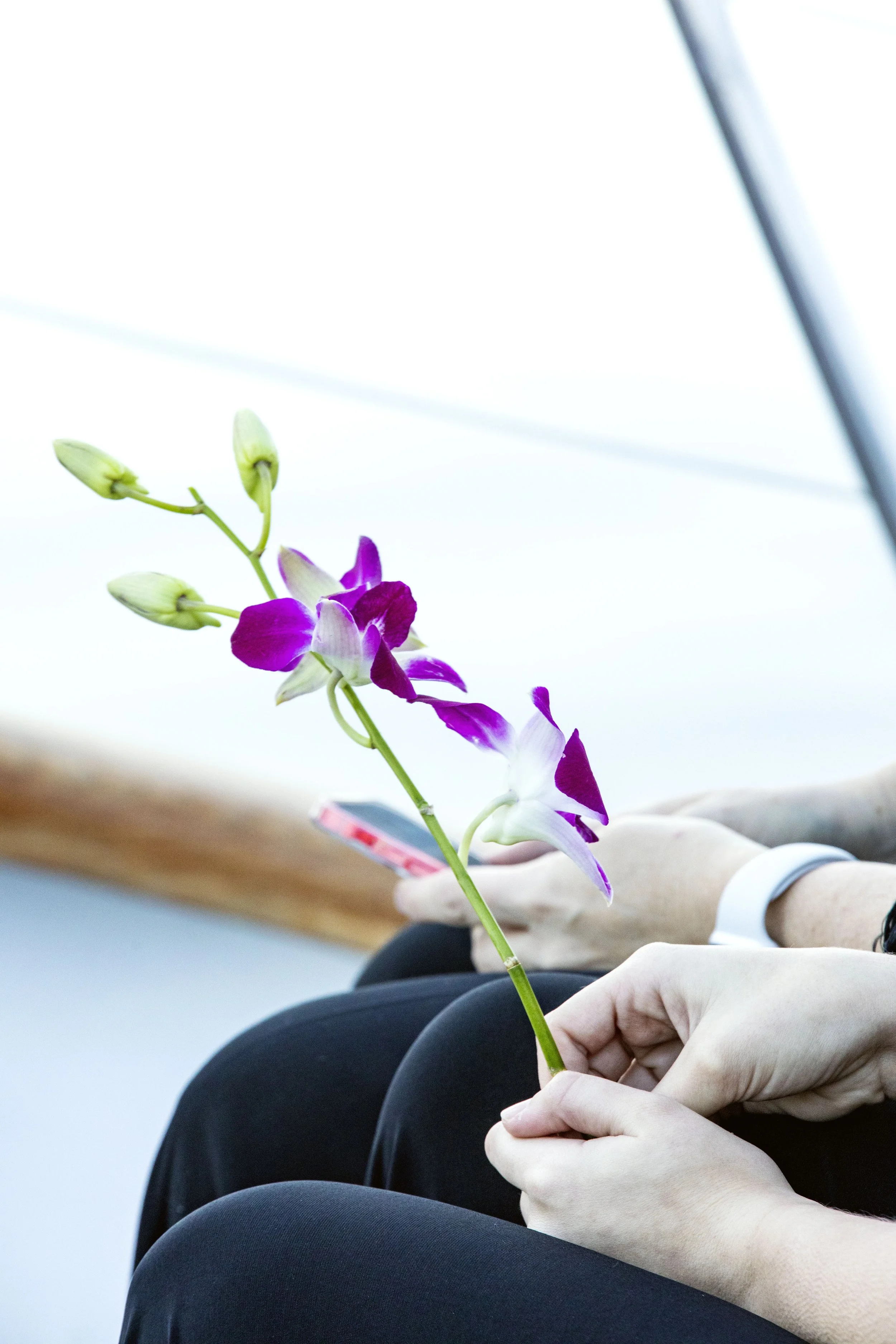 Reno NV wedding photographer capturing Lake Tahoe elopement.