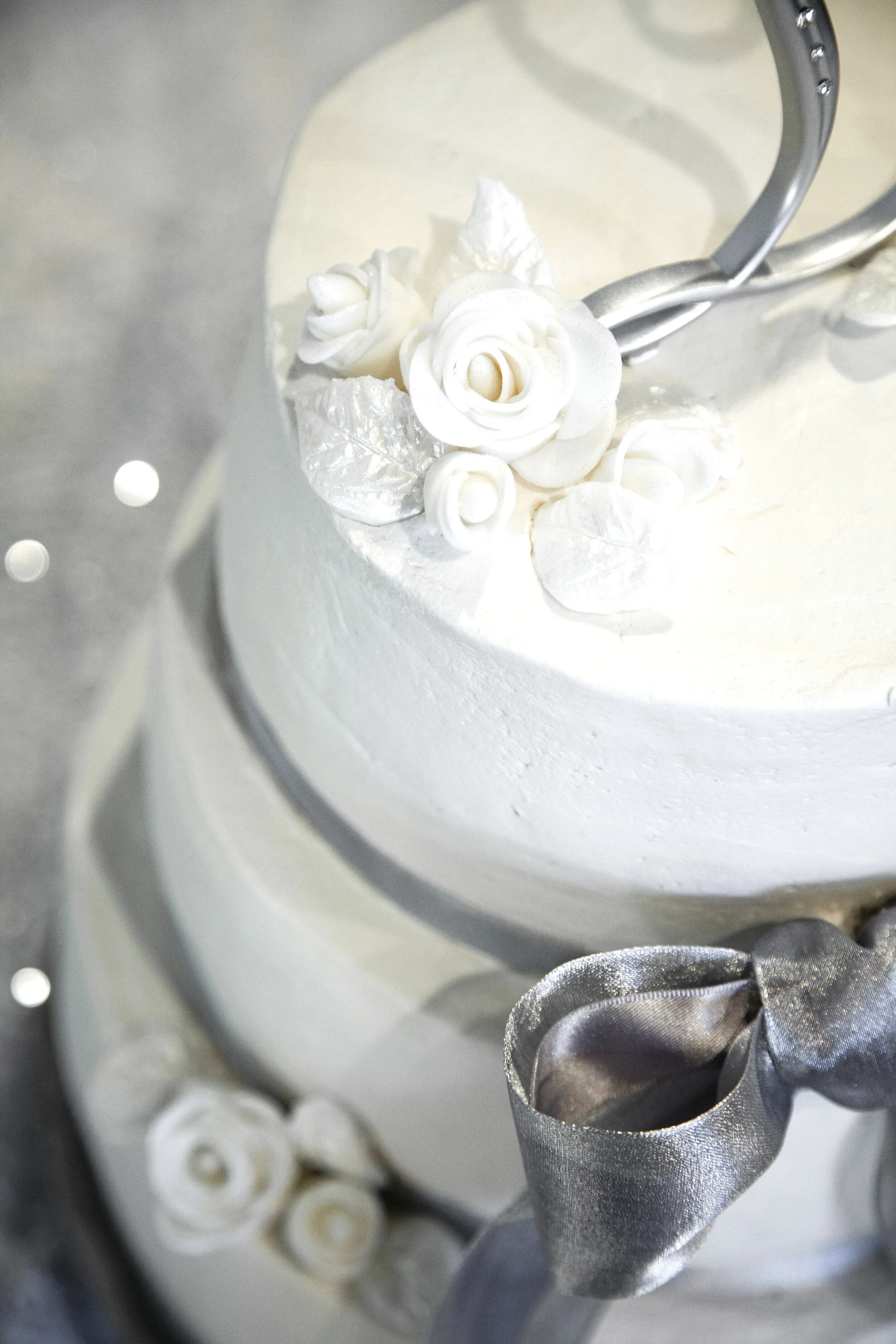 Reno NV wedding portrait session near Lake Tahoe with scenery.