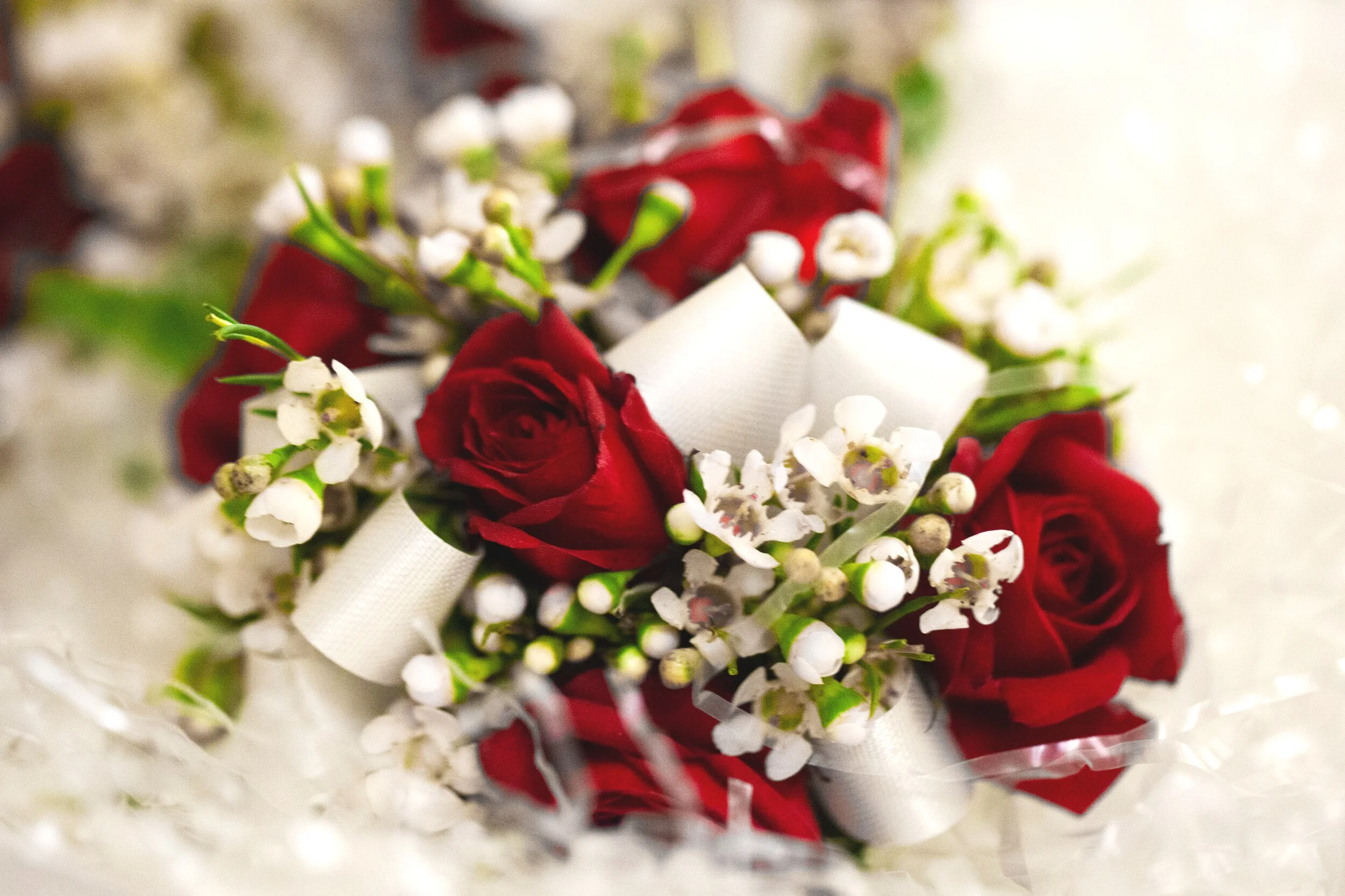 Lake Tahoe wedding photos captured near Reno Nevada.