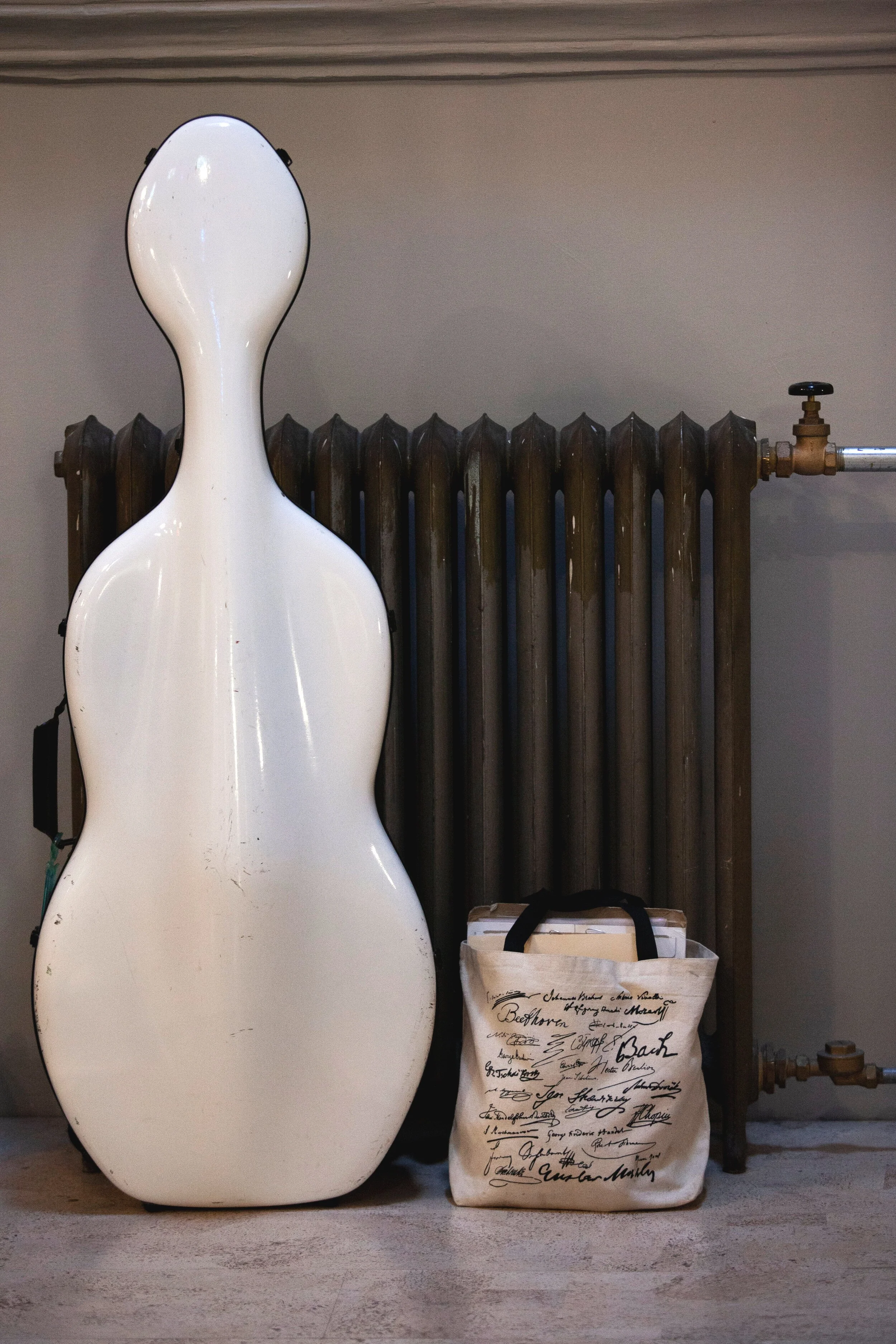 Carson City wedding portrait with Lake Tahoe shoreline views.