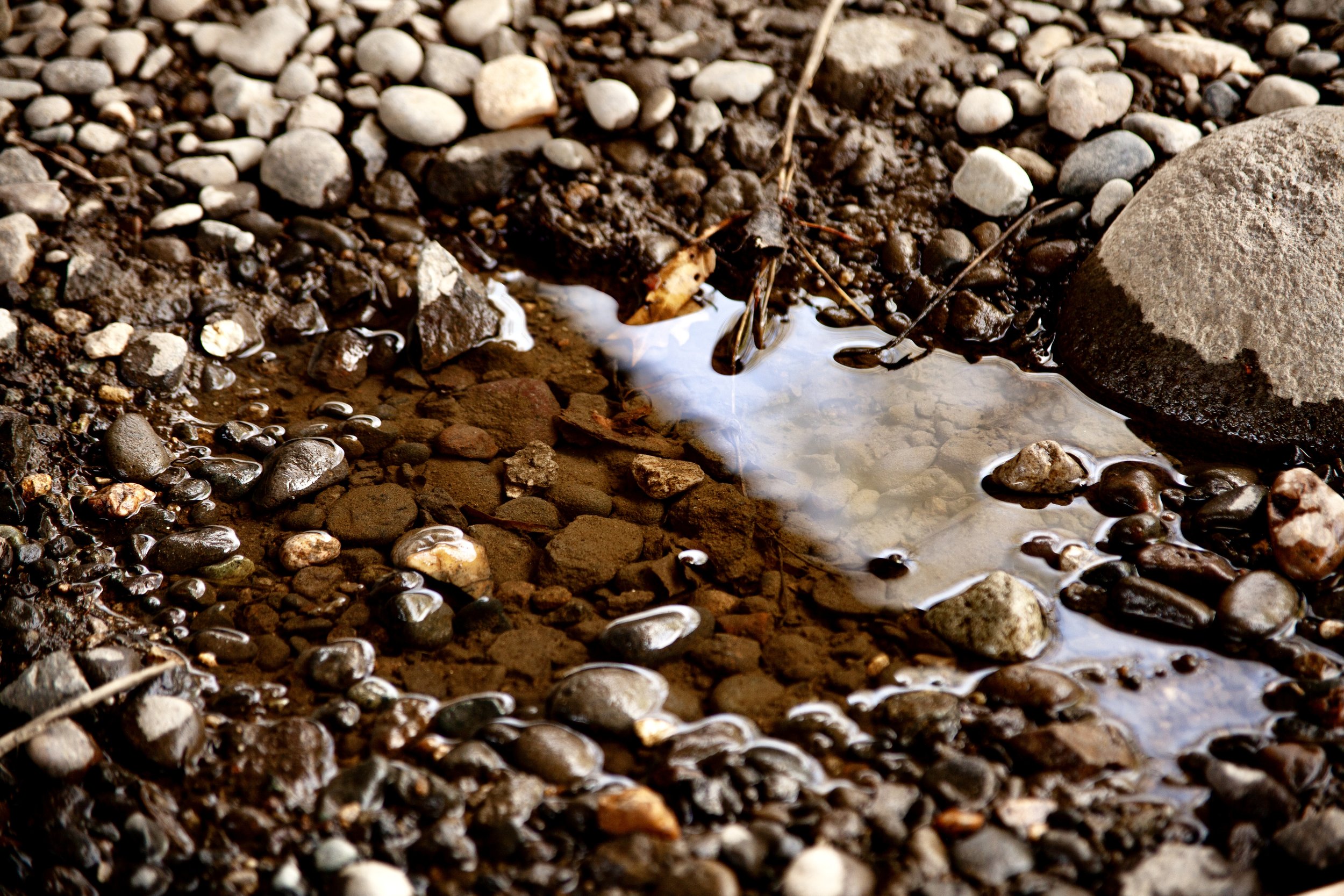 Reno River Walk_0077.jpg