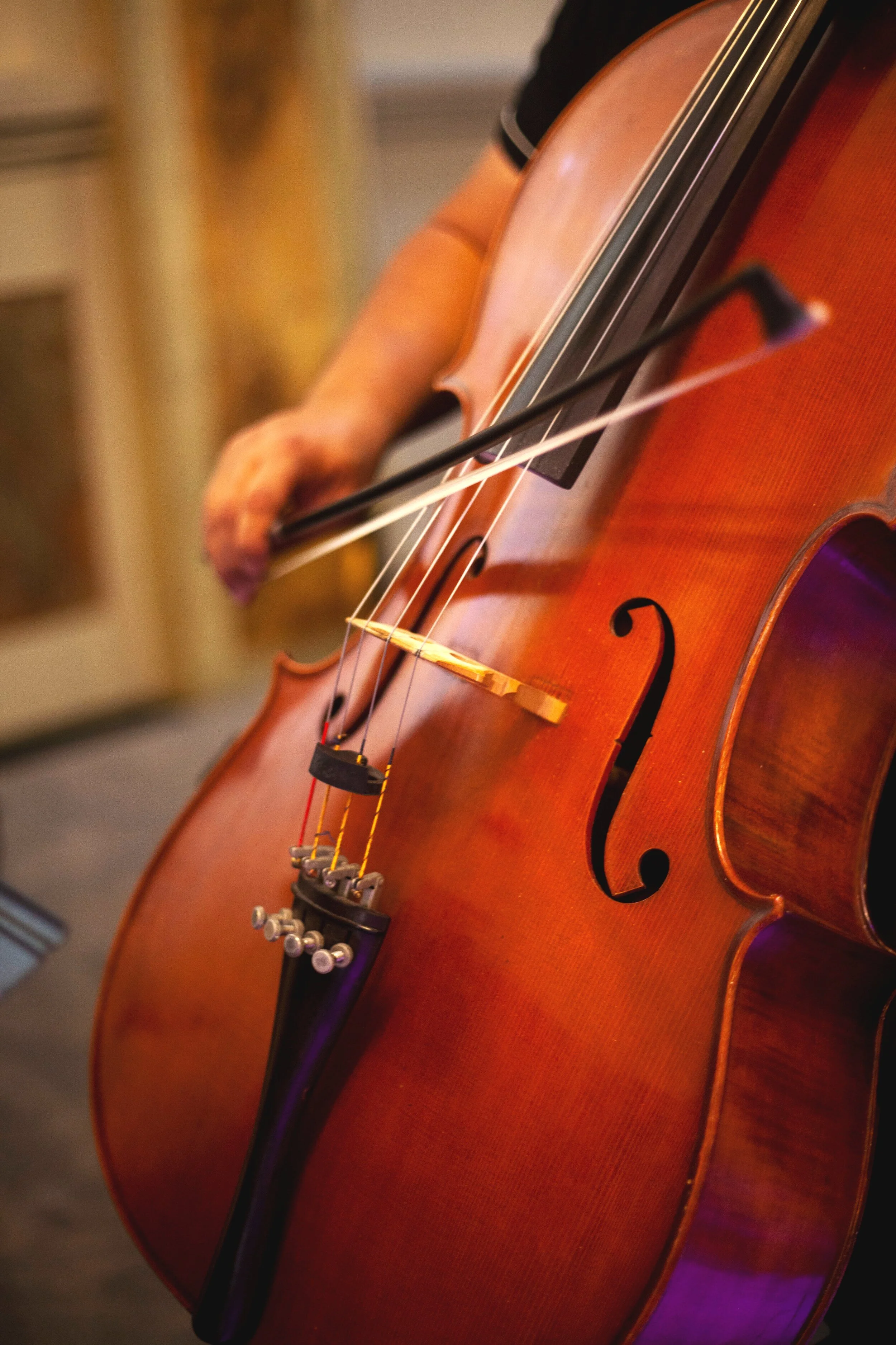 Reno NV Lake Tahoe elopement photography outdoors.
