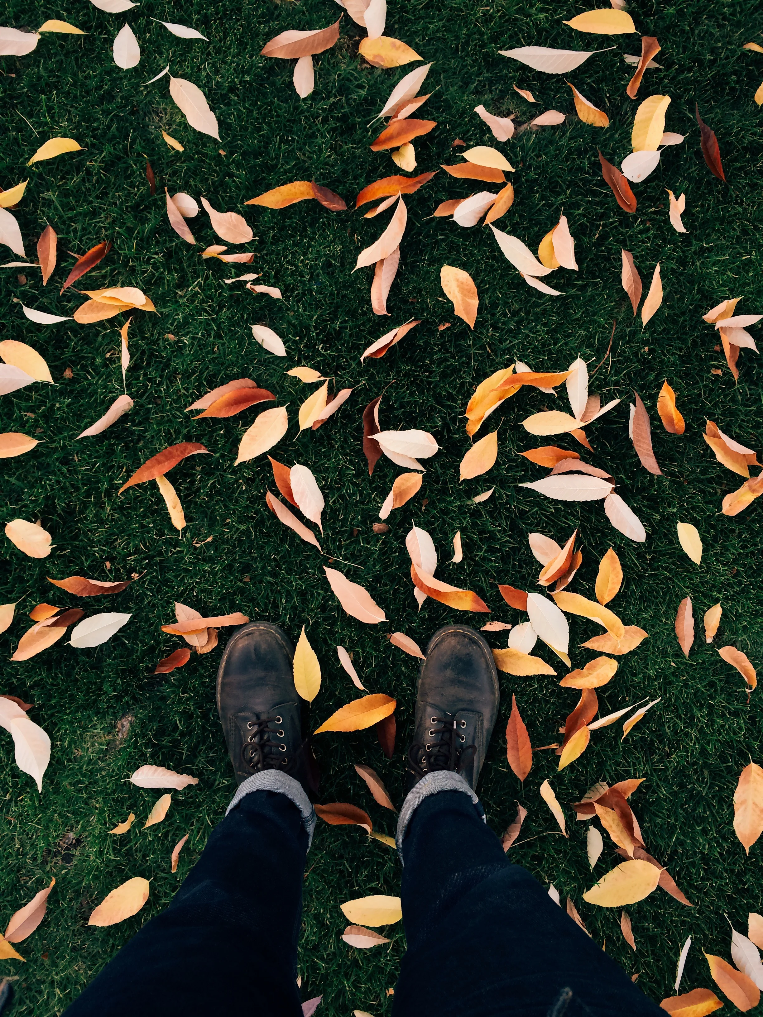 Processed with VSCOcam with e2 preset