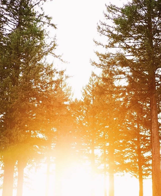 The best thing about jetlag is accidentally waking up with the sun and taking a long walk.