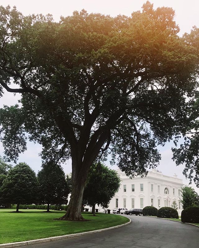 Today I visited the White House.
I got an email a few weeks ago about an opportunity for me to take a meeting at the White House to talk about the importance of the US's commitment to foreign assistance.
Over the last year I've met with my senators, 