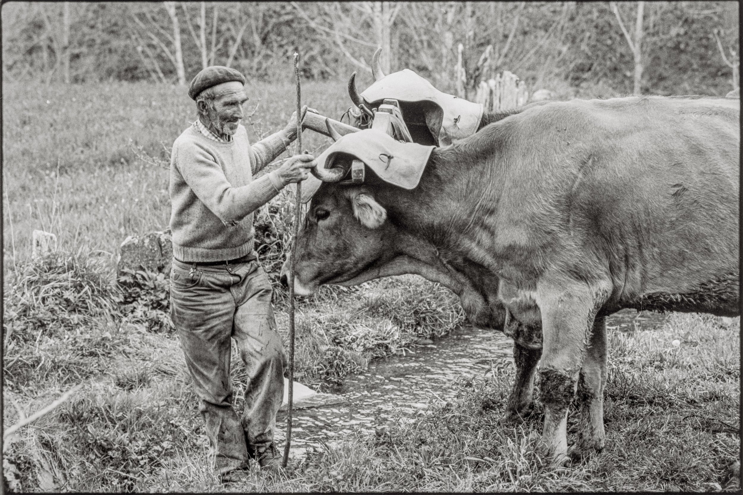 Traballando a terra, A Seara 1984