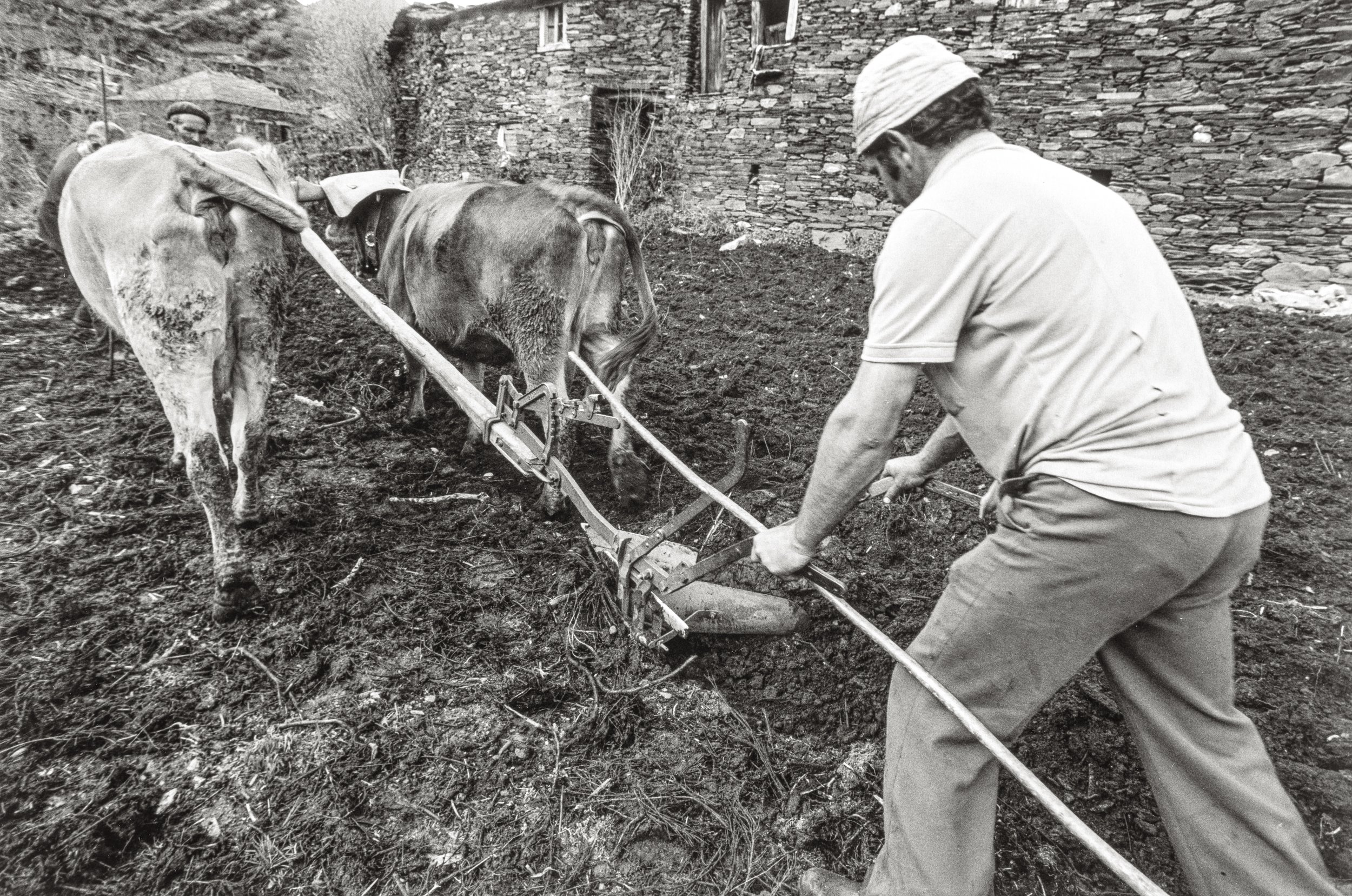 Traballando a terra, A Seara. Serra do Courel 1984