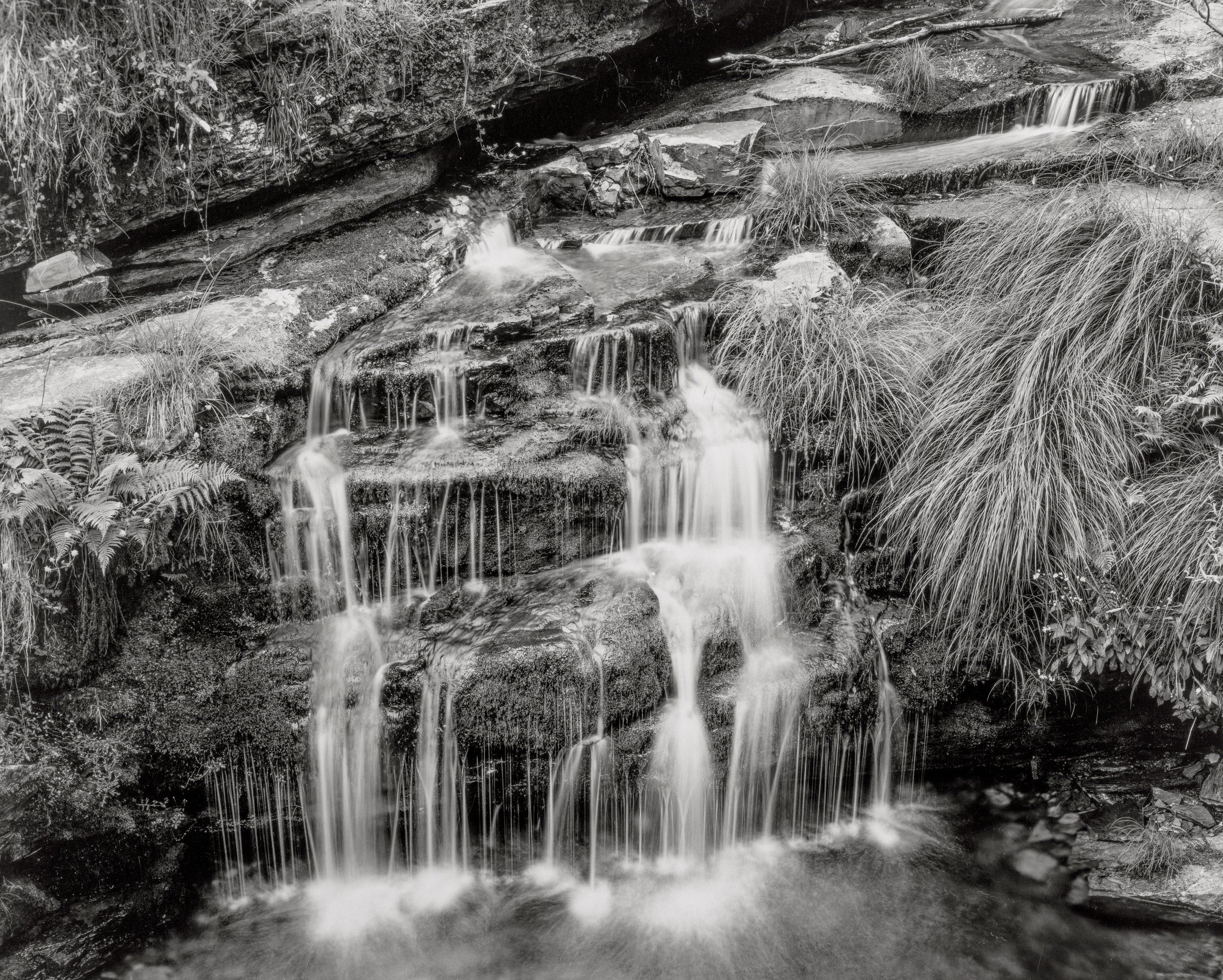 CARROZO. SERRA DO COUREL 1990