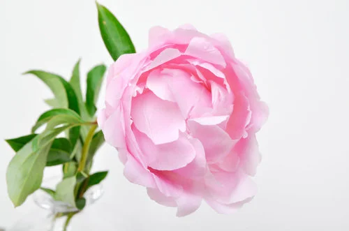 blog_01.jpg
