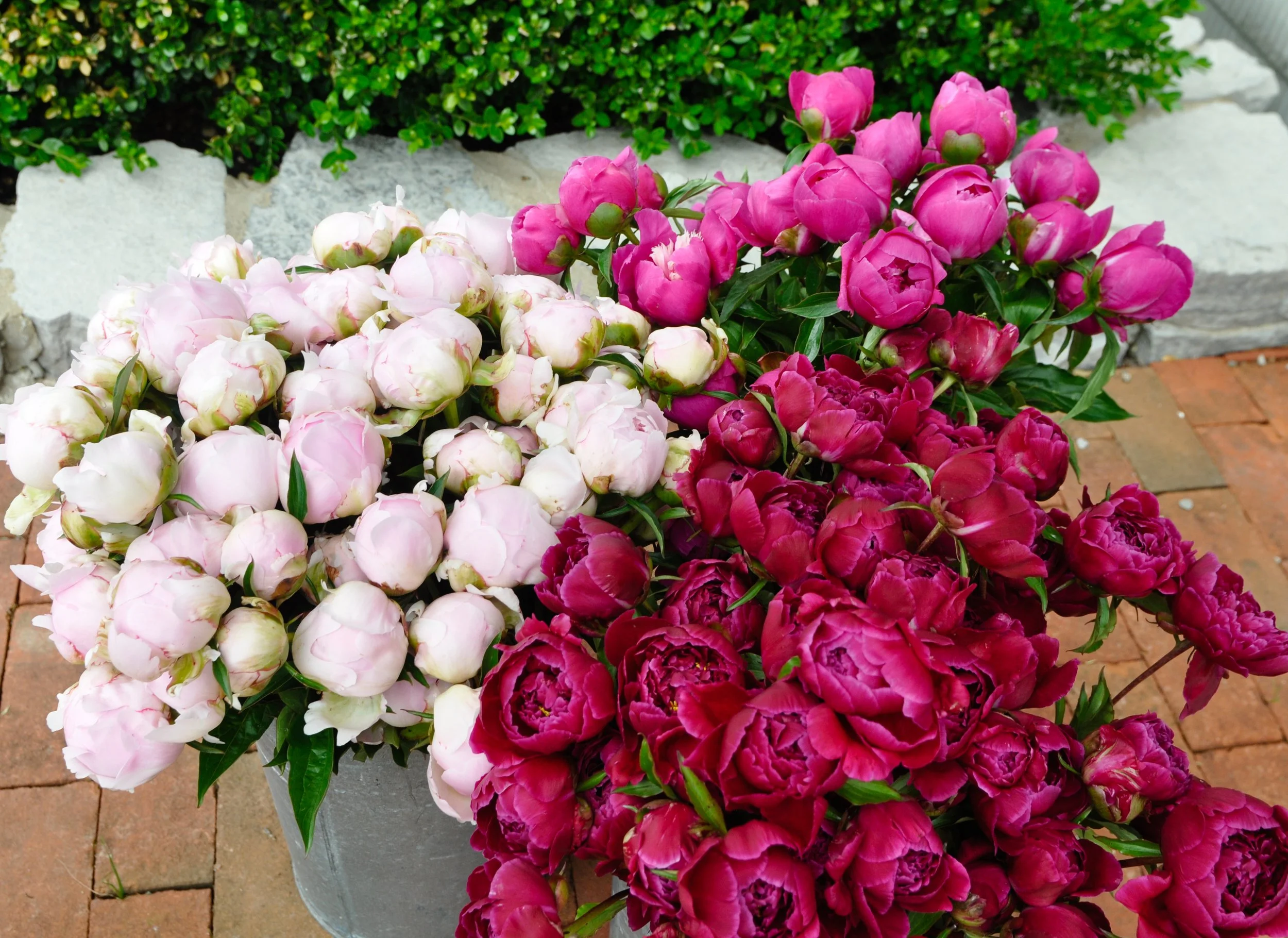 2026 The Peony Bouquet Pick Up