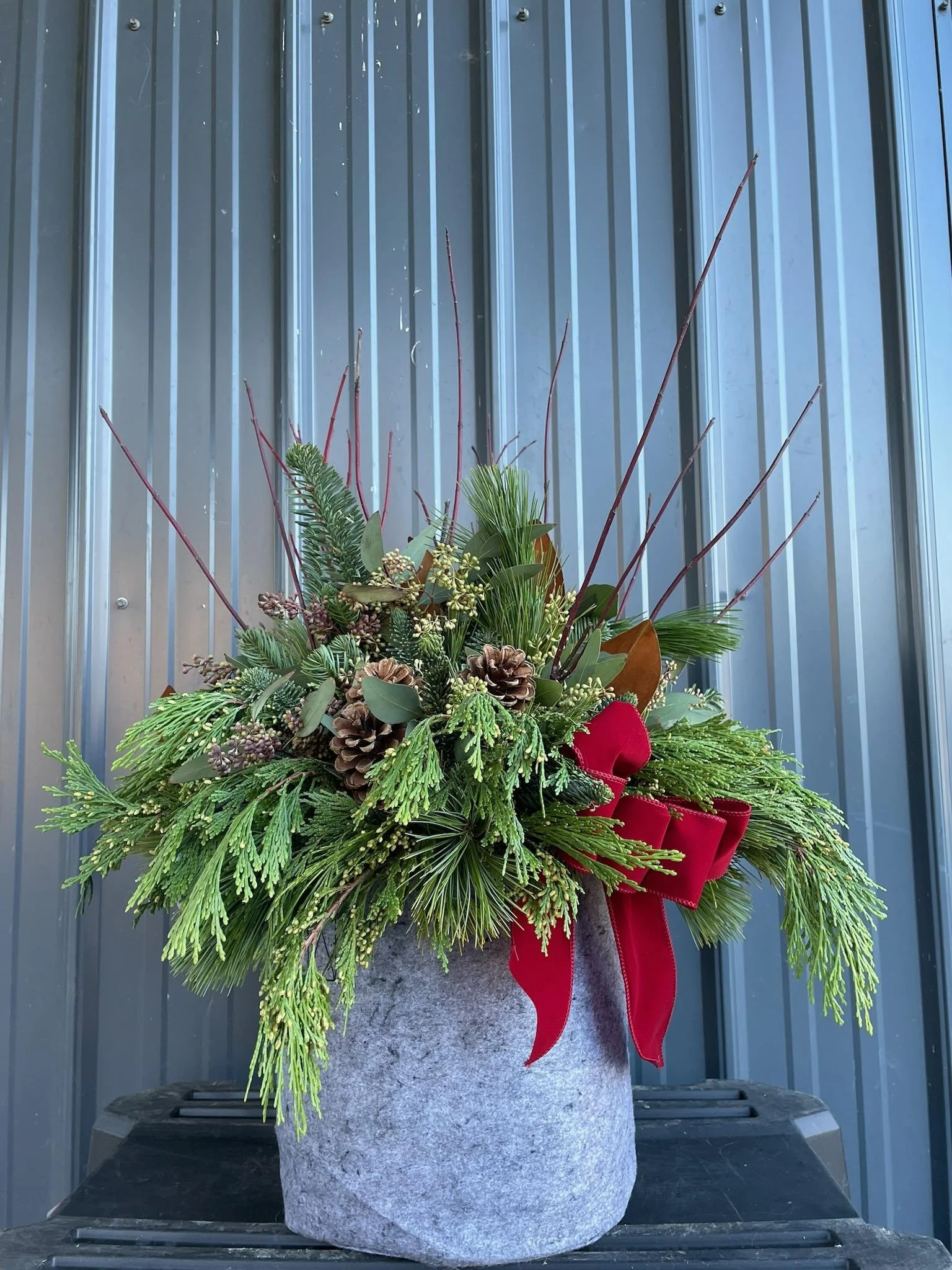 Porch Pot- Soft Recyclable Pouch- Pick Up Only- Mid to end of November