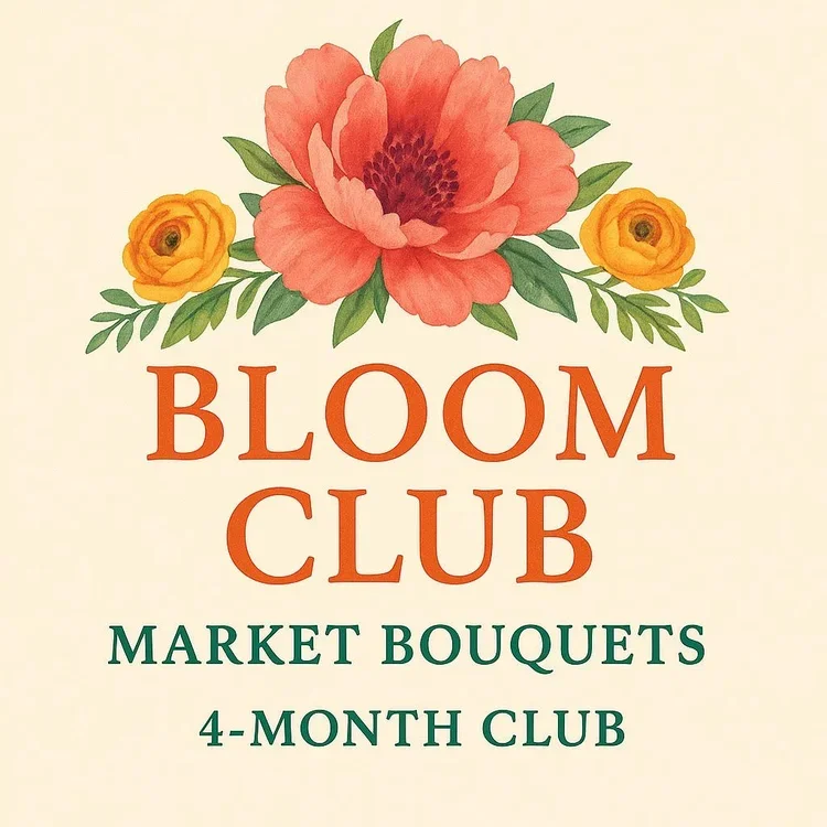 Bloom Club Month 1 Pick Up (February 6, 2026)