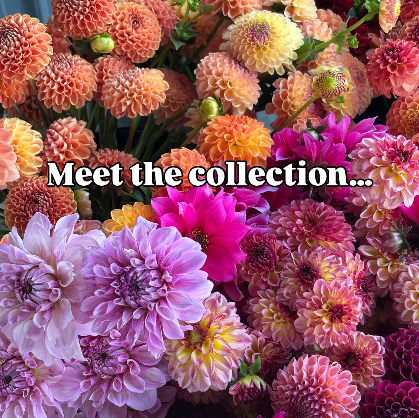 🌸 Which one is your favorite? Comment below 👇