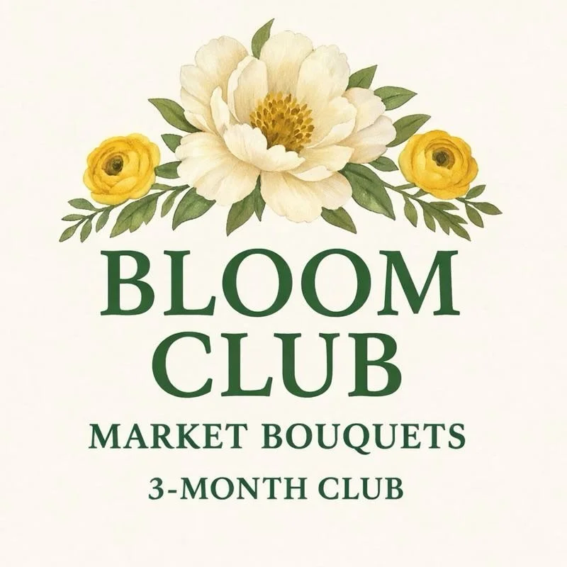 What is Bloom Club?
It&rsquo;s our seasonal flower subscription designed to bring a little joy to your Fridays. 🌷
With our 3-Month Bloom Club (March&ndash;May), you&rsquo;ll receive one fresh, market-style bouquet on the first Friday of each month!
