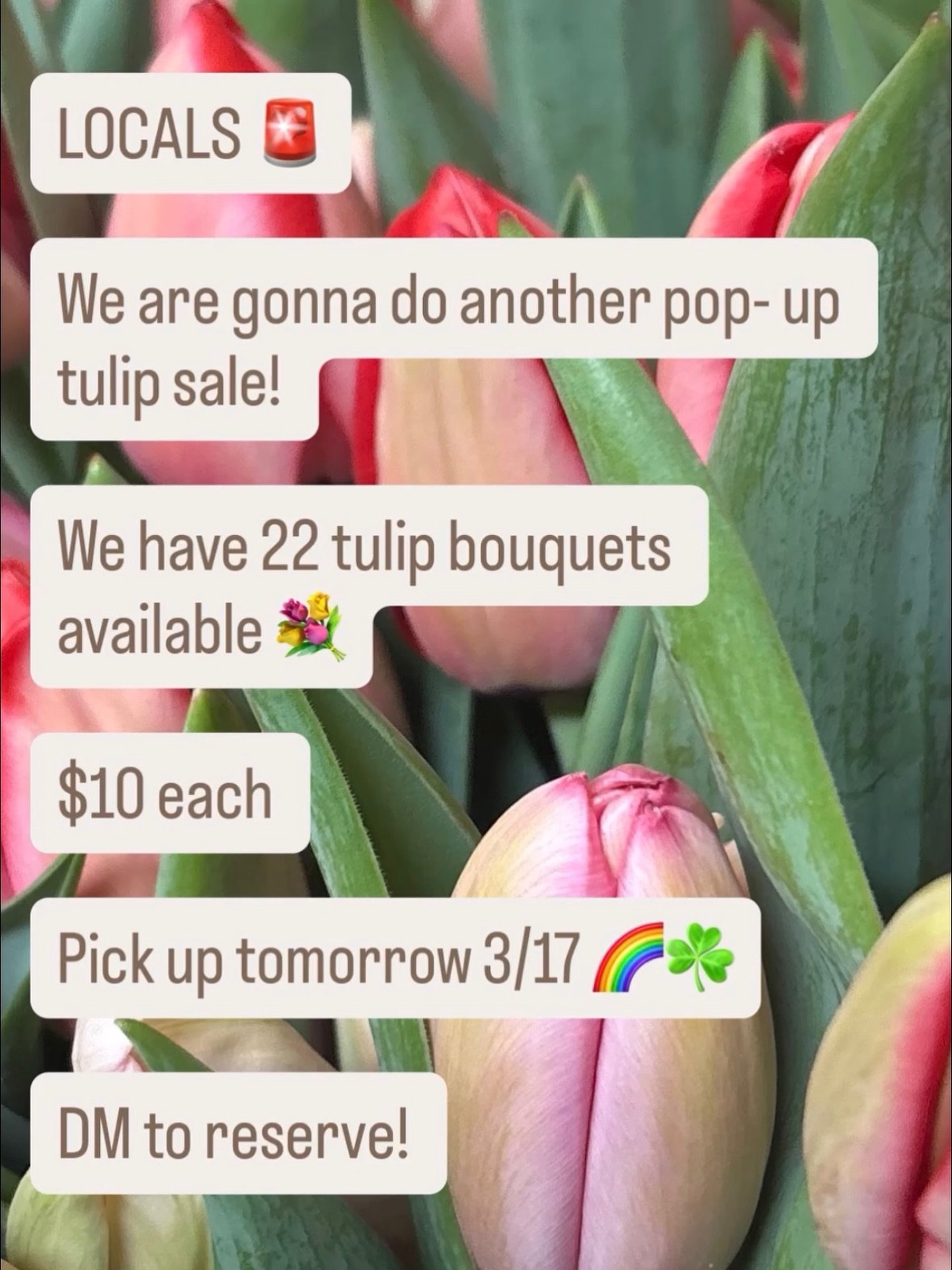 DM to reserve with your first &amp; last name + phone number! 
Pick up Tuesday 3/17 ☘️
📍14470 Jug St. Johnstown, OH