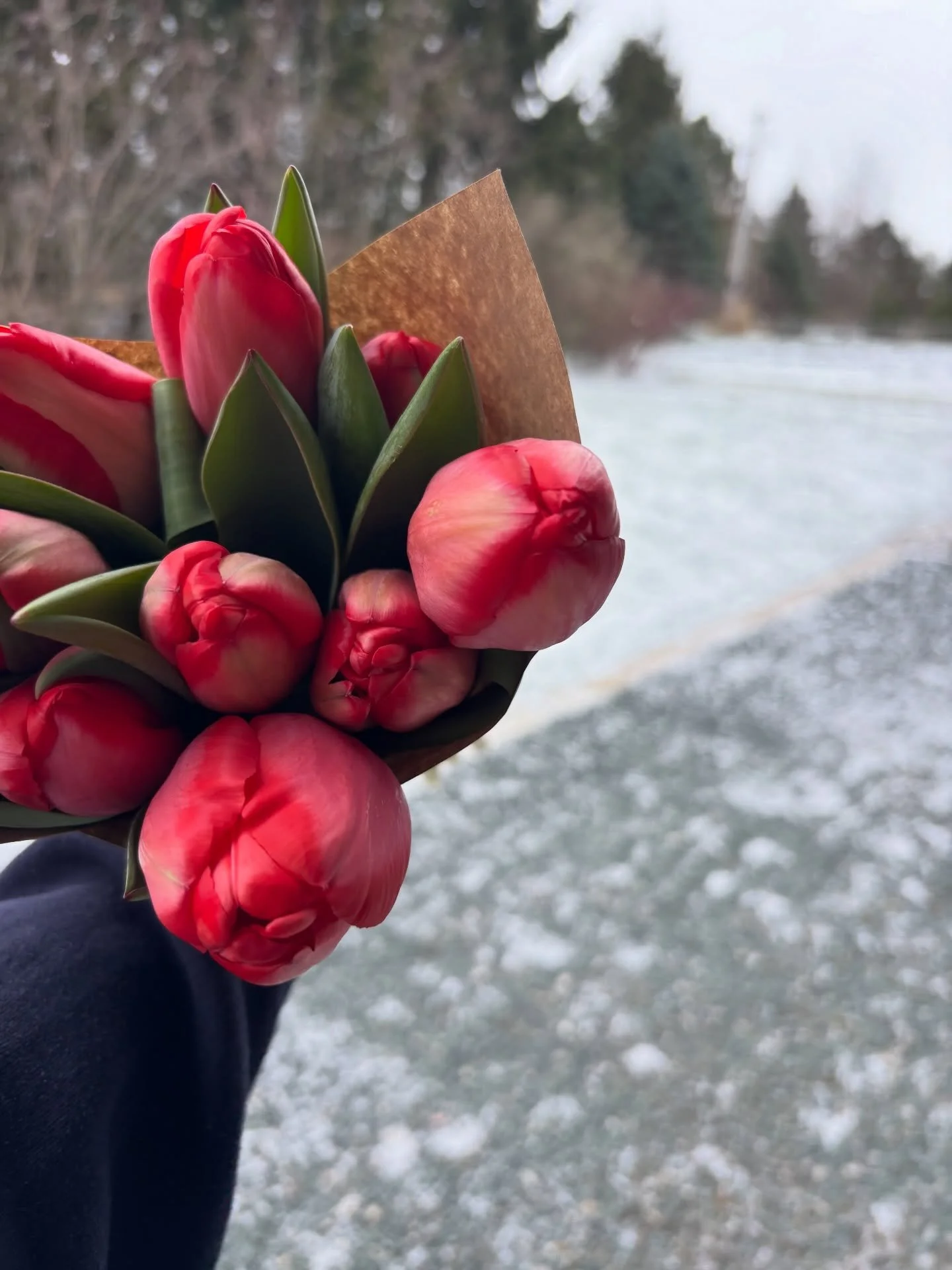 It&rsquo;s snowing&hellip;again. ❄️

But we are thinking Easter Weekend! 💐
🐣 Easter Bouquets are now available to pre-order on our website for April 3rd pick up.
Soft spring blooms, gathered for your table.
✨ Link in bio to reserve yours.