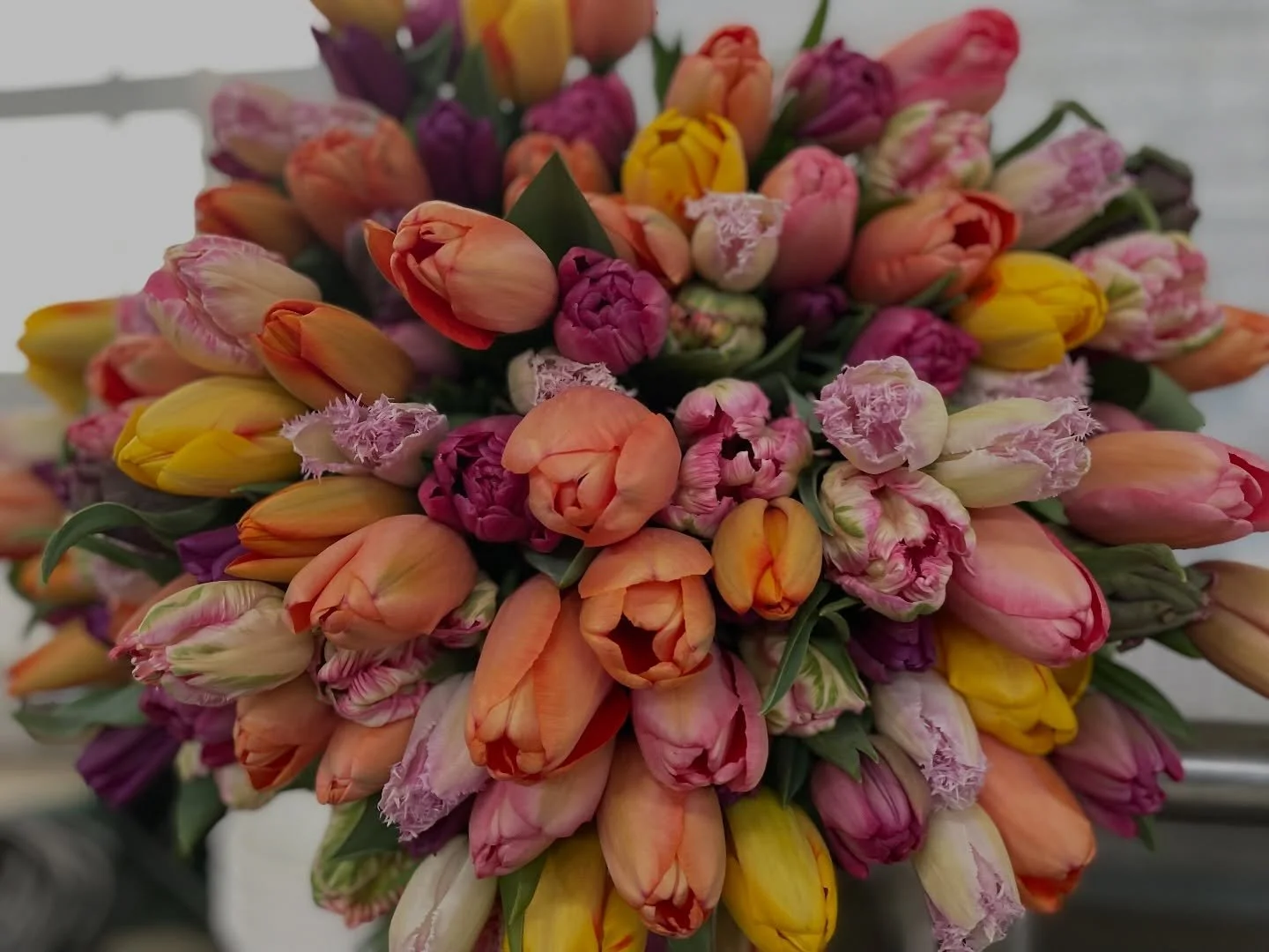 Locals, it&rsquo;s a big week for flowers 🌷
Wednesday 4/1 | 11 AM&ndash;2 PM
$10 tulip bouquets &mdash; DM to reserve!
Friday 4/3 | 2 PM&ndash;6 PM
Easter bouquets &amp; tulip buckets
Shop via the link in our bio
Spring is here and the blooms are re
