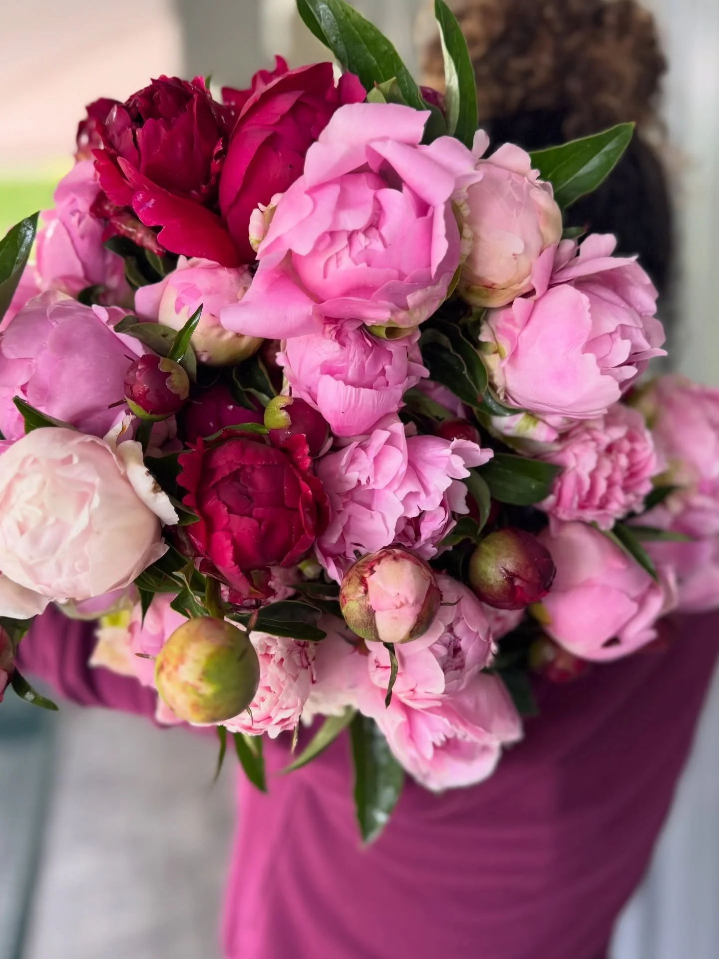 Peony season is officially beginning 🌸✨ A Little earlier than we expected! Mother Nature sure has a mind of her own! 

The first blooms are starting to open here at the farm, which means peony bouquets are just around the corner!
Keep an eye on your