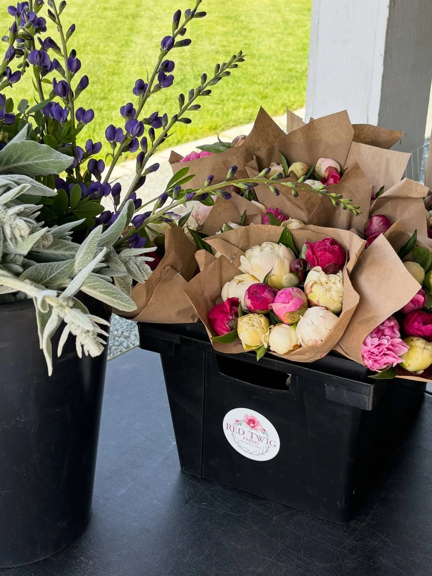 Peony people&hellip; it&rsquo;s that time 🌸
The fields are gearing up for one of the shortest and sweetest flower seasons of the year. Watch your email if you pre-ordered! 

Watch here for pop-up sales 🎉

#peonyseason #peonies #peonyflower