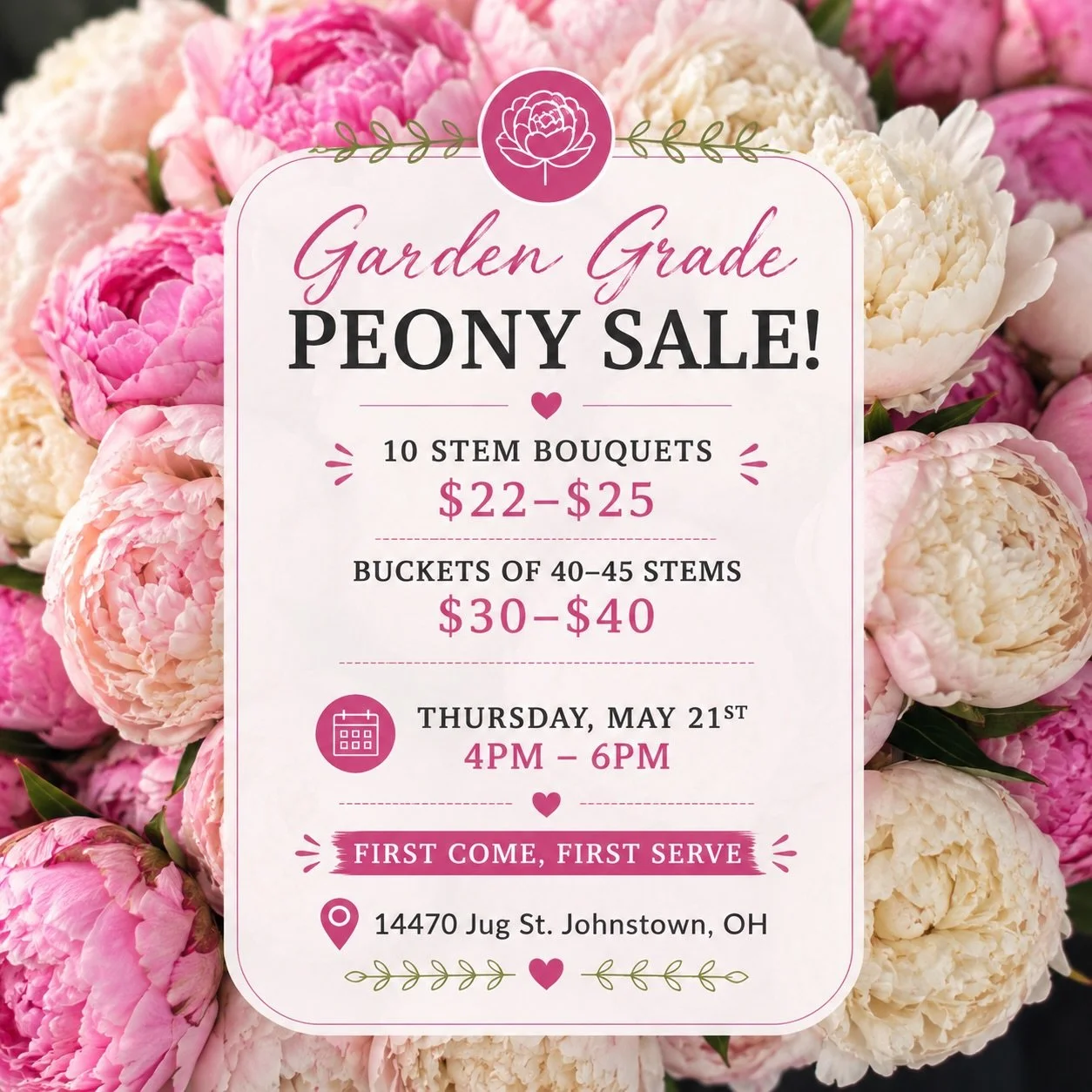 Garden Grade Peony Sale 🌸

These are not our premium stems used for pre-orders, but they&rsquo;re still absolutely beautiful in their own way. 🤍
Garden grade peonies may include blemishes, curved stems, or blooms that opened a little too quickly &m