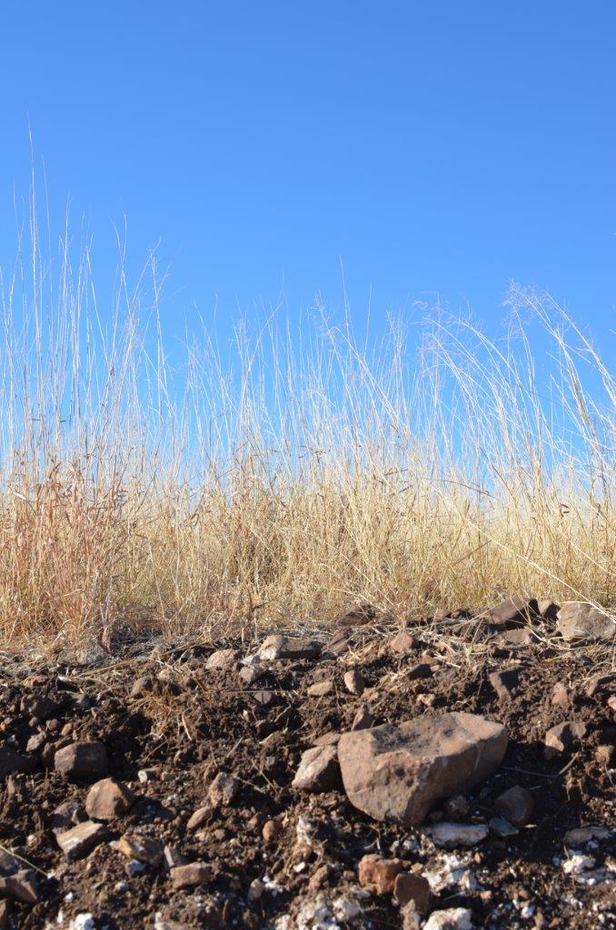 Plateau Soils