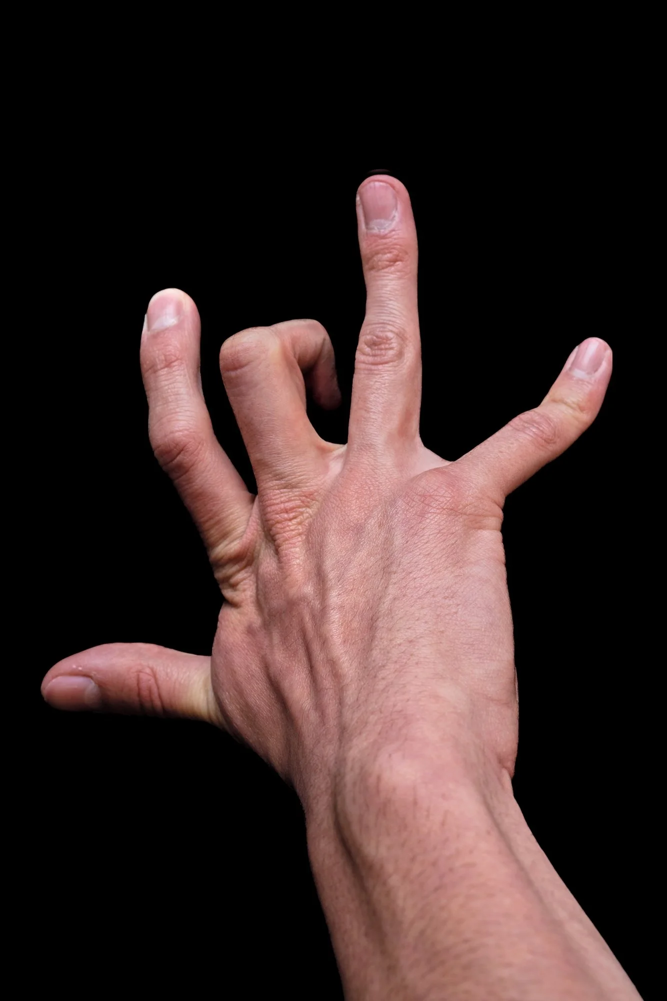 CARNAL_MANO5_S.GERBAUD.jpg