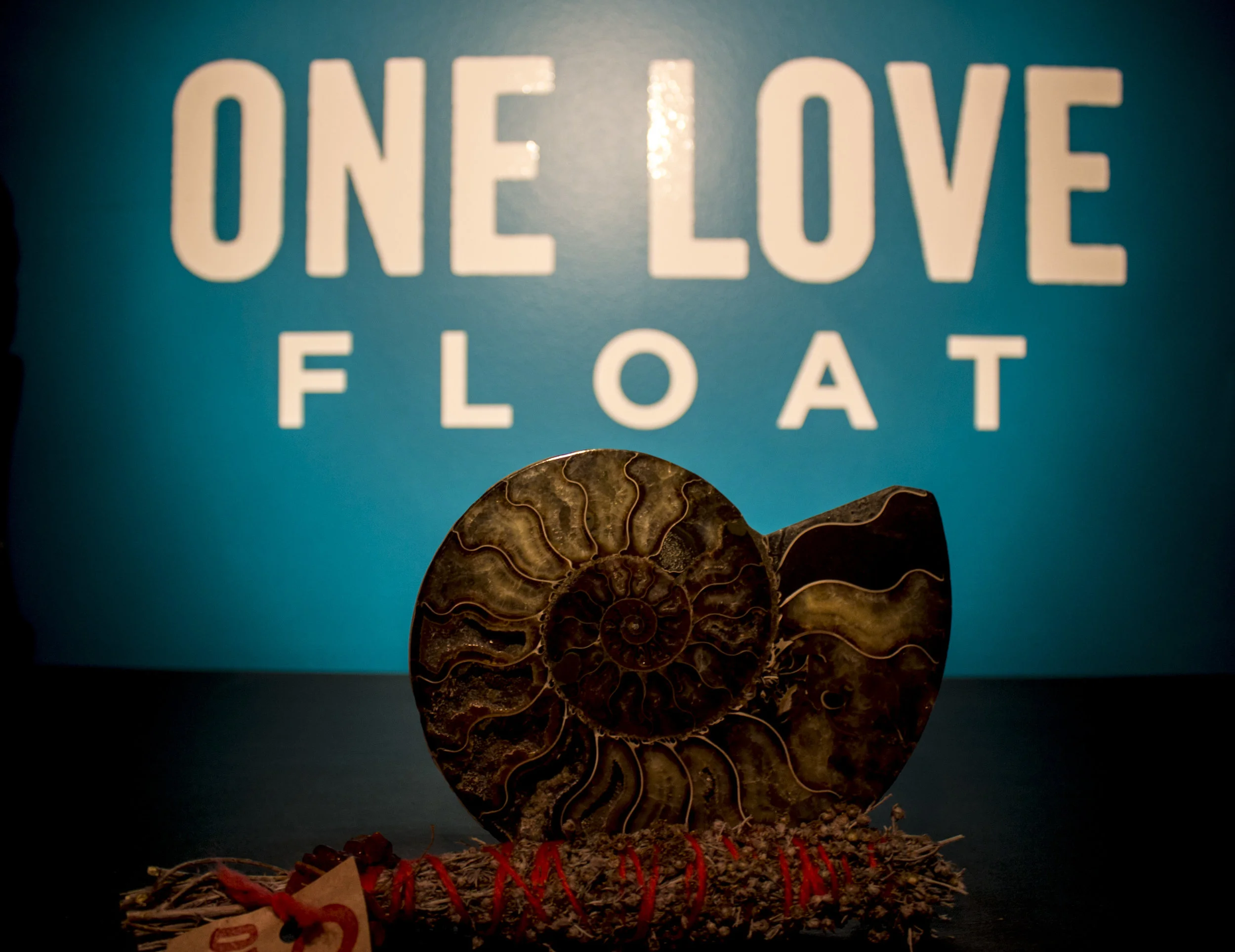 The Nature of Floating