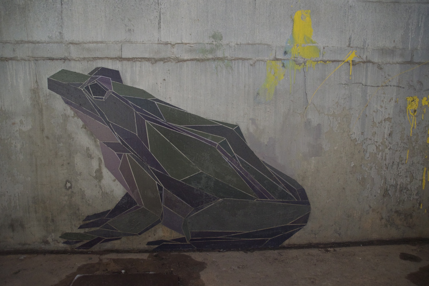 frog+copy.jpeg