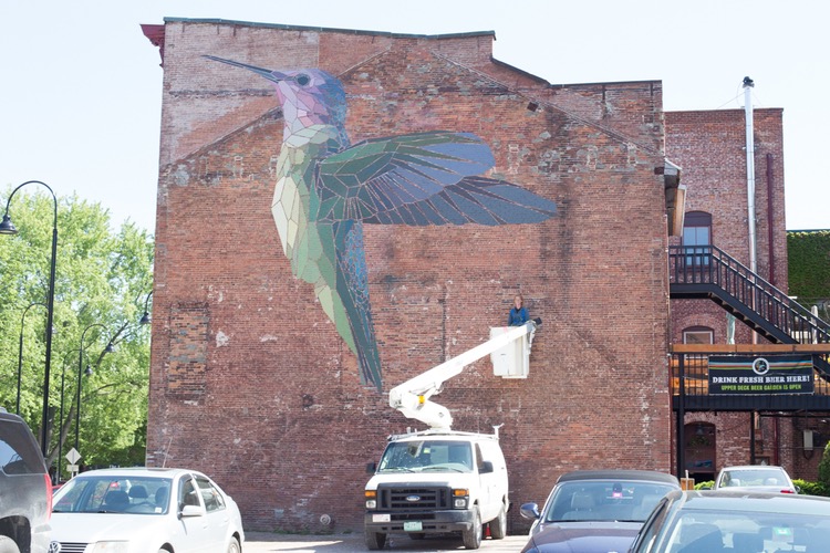 Ruby Throated Hummingbird Downtown Burlington Vermont