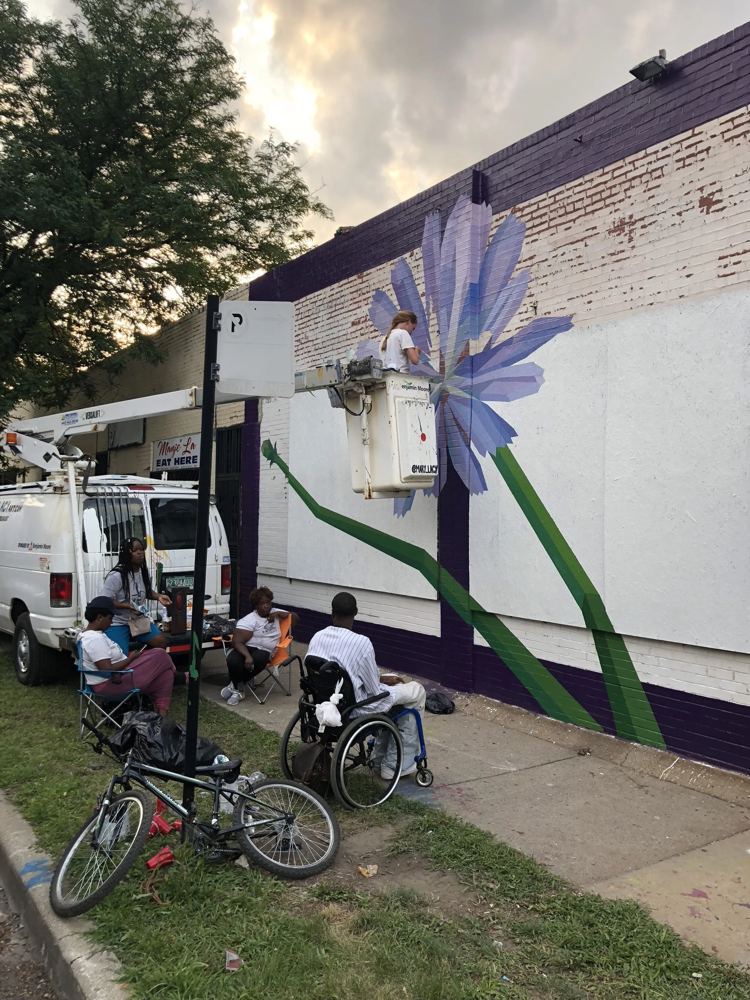 Chicory Mural Process PIcture