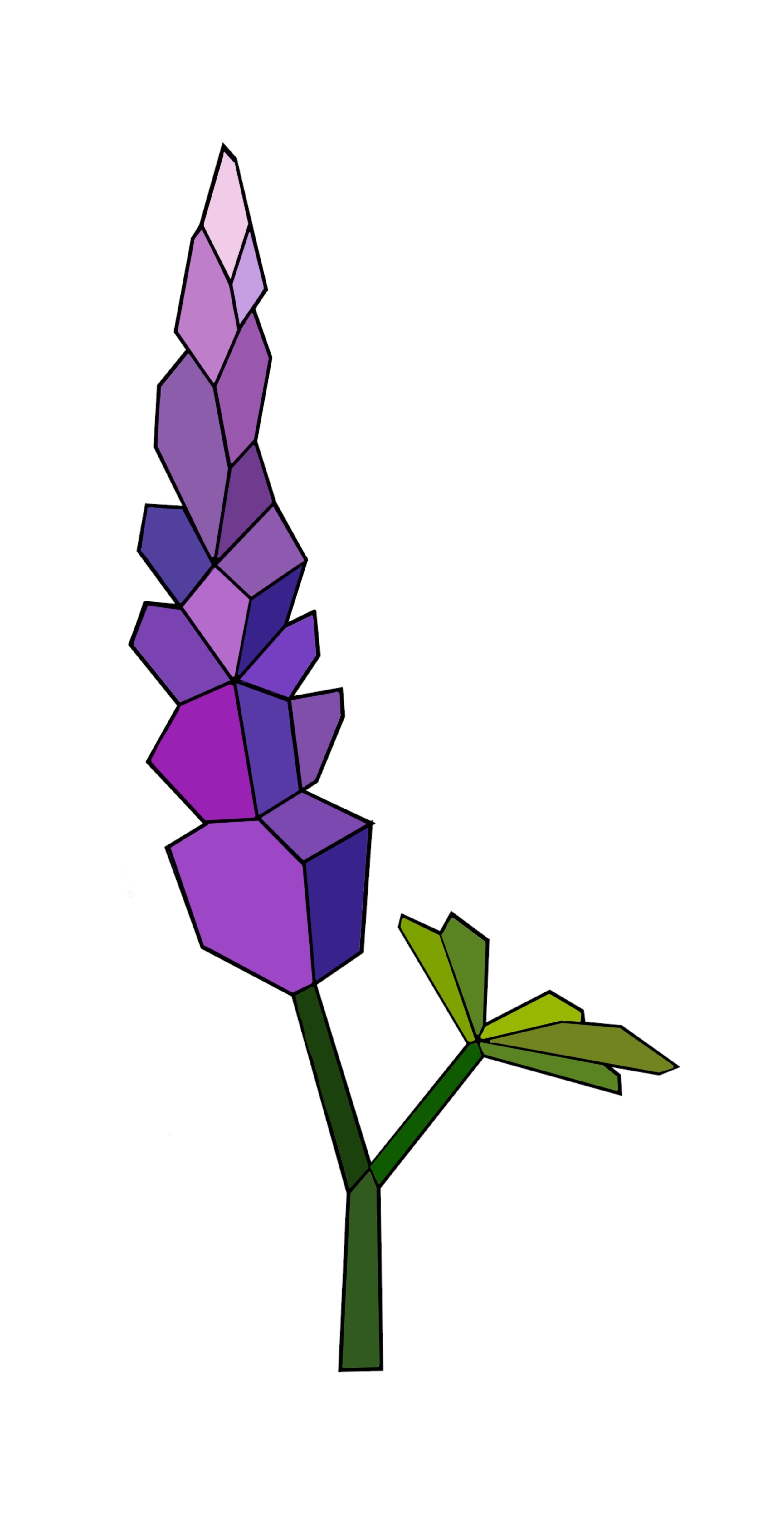 Mary Lacy Paint Puzzle Lupine Flower.jpg