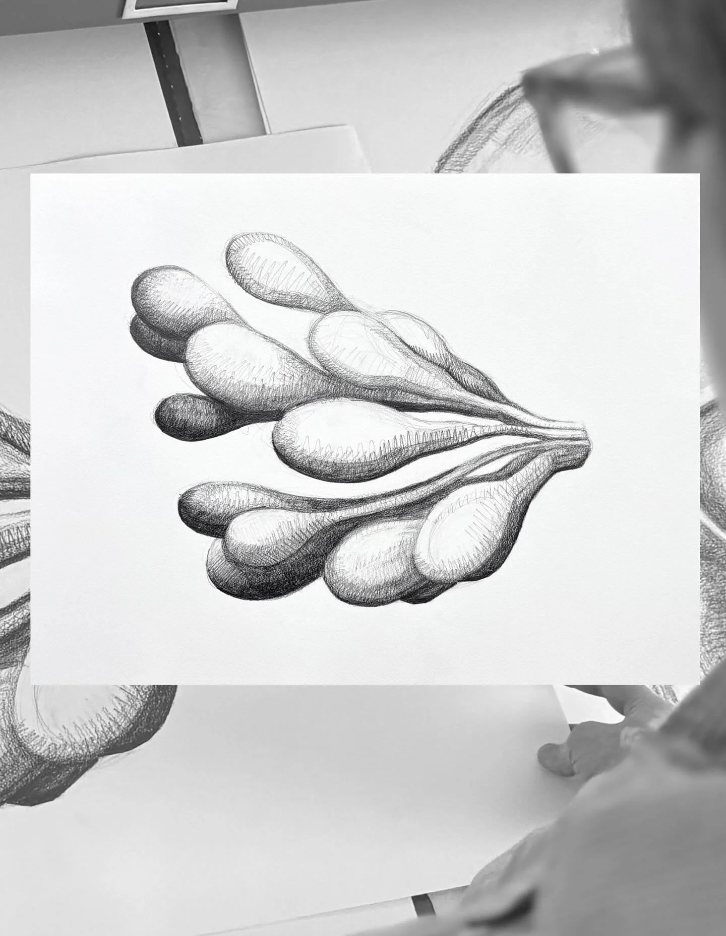 Mammary Glands
Graphite on Paper, 22&rdquo; x 30&rdquo;

Link in bio 🌼