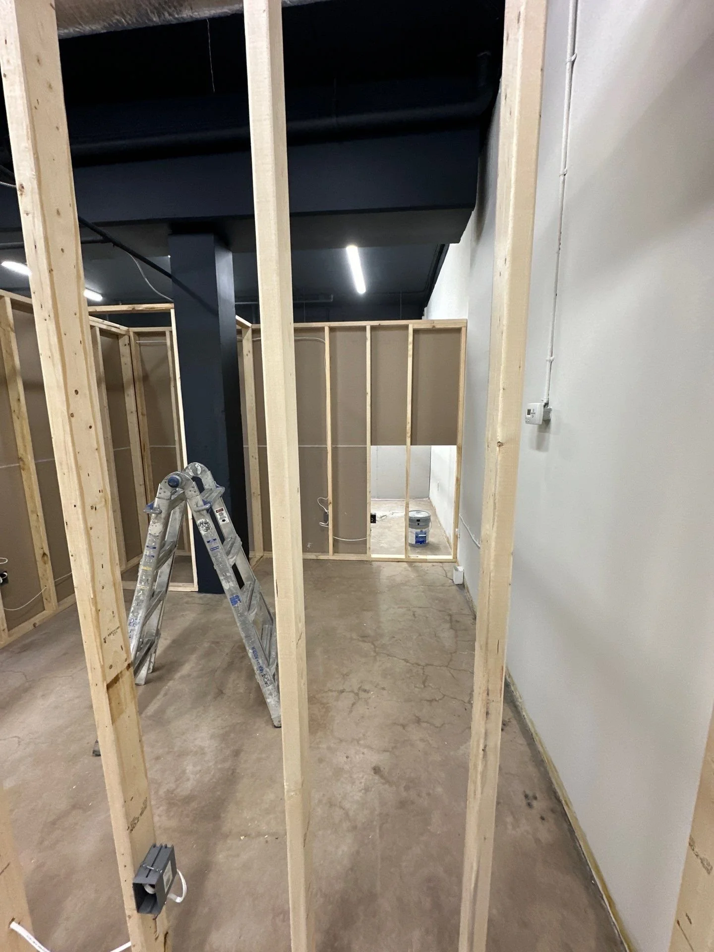 15-Dec 17 2024 07_59pm-QxR8.jpg