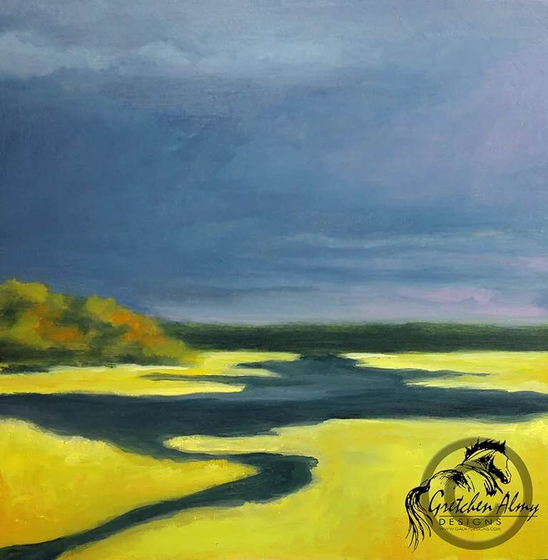 WEB marshes after the storm.jpg