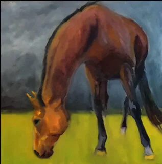 Time to bring the horses in....jpg