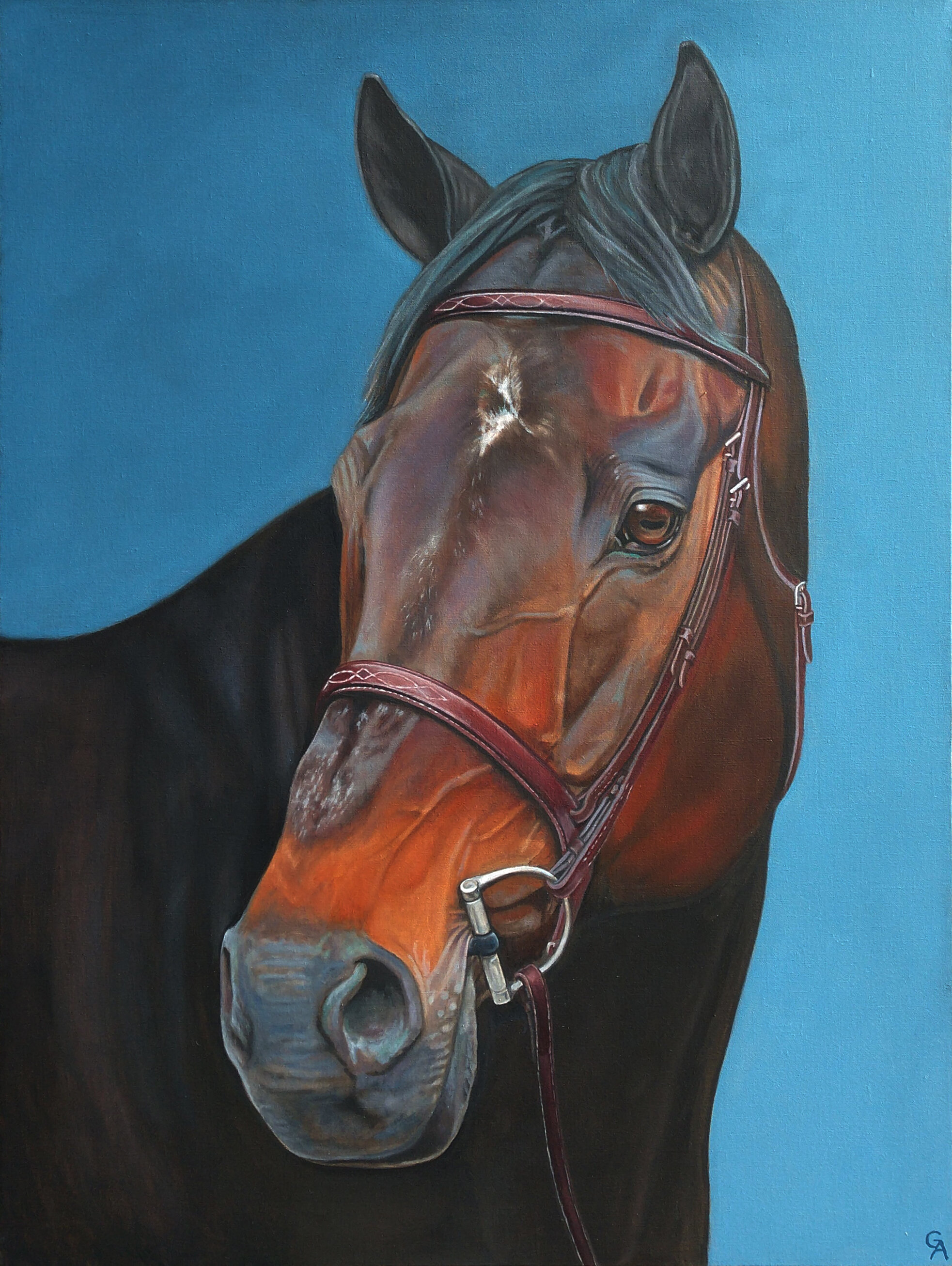 "Gator" 30"x40" Oil on Linen. Custom Framed. Commission.