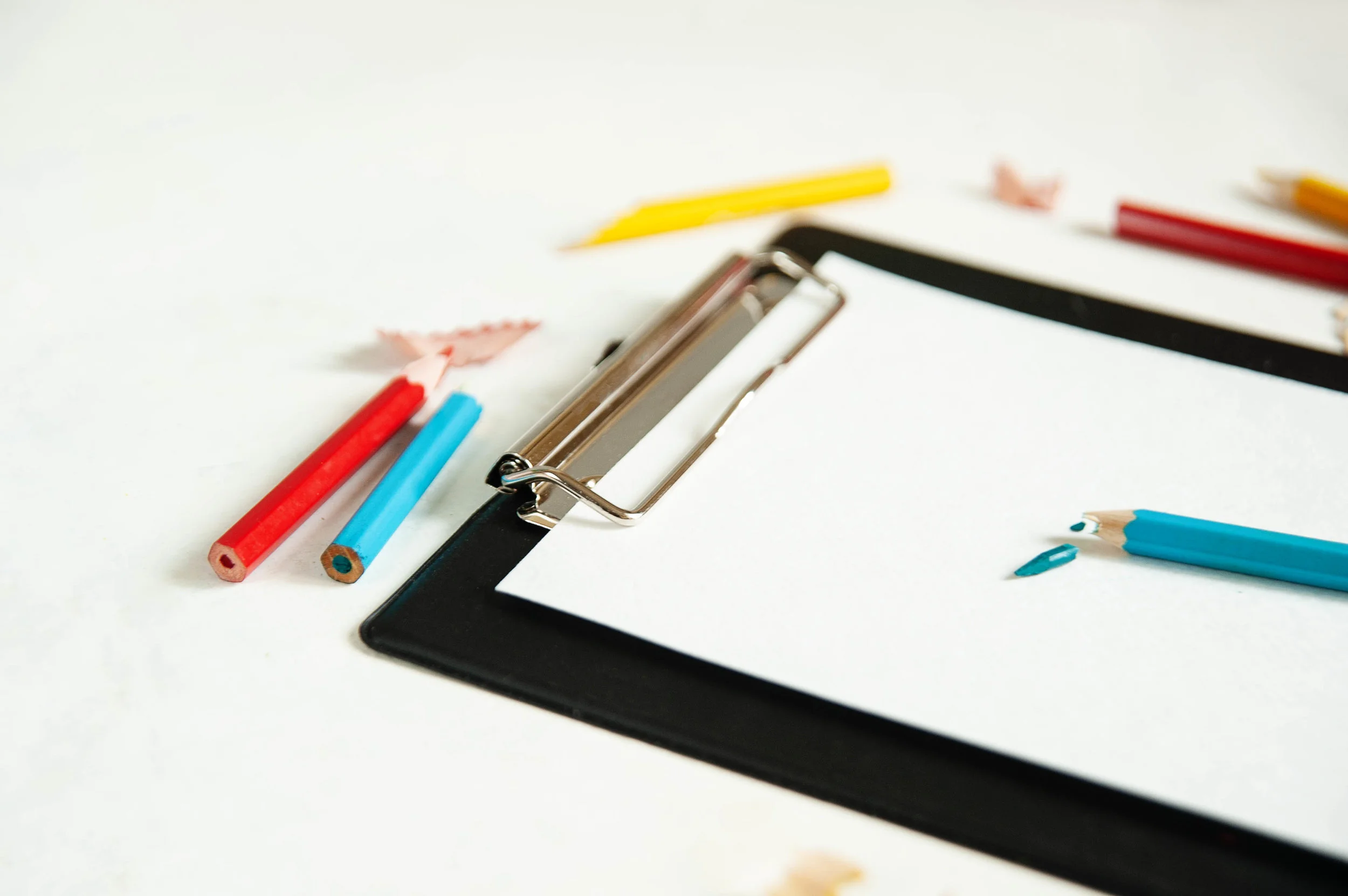 The Art of Animation