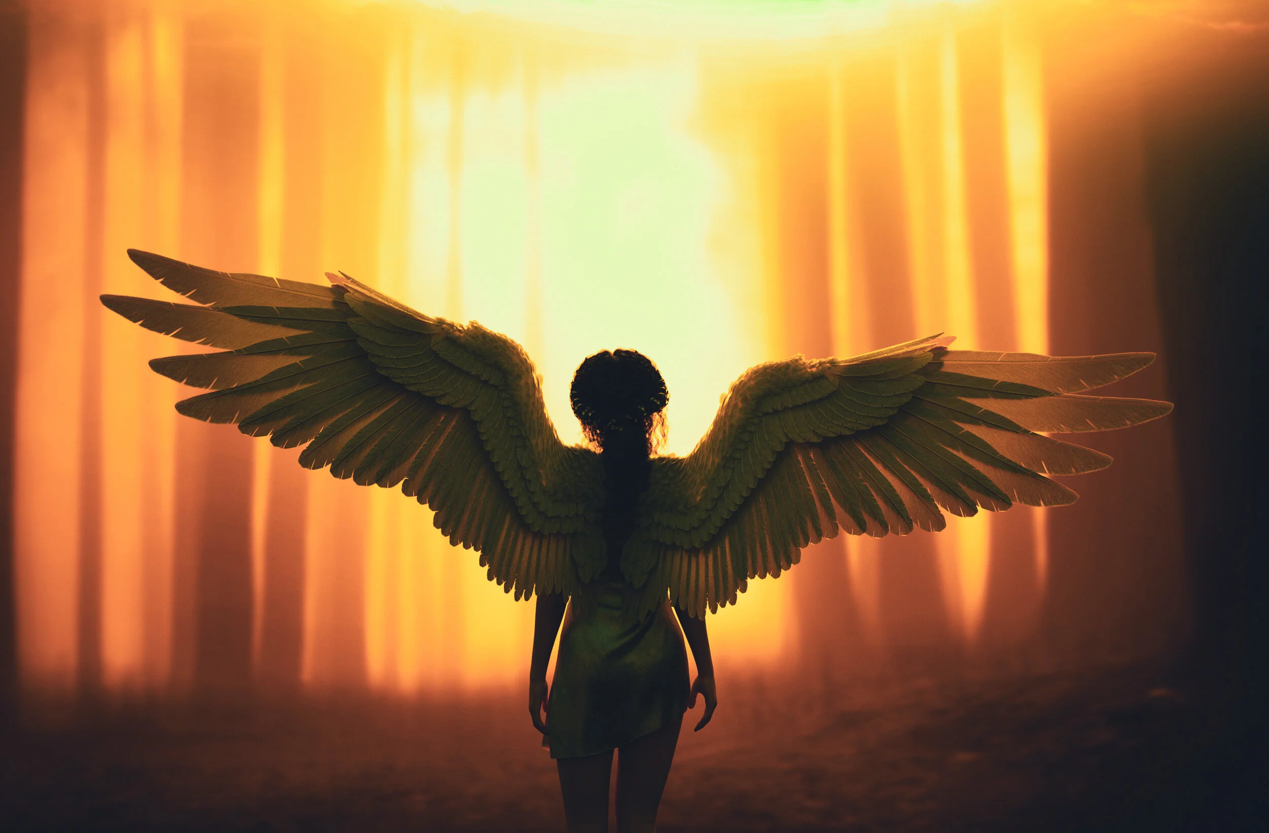 Broken Wings