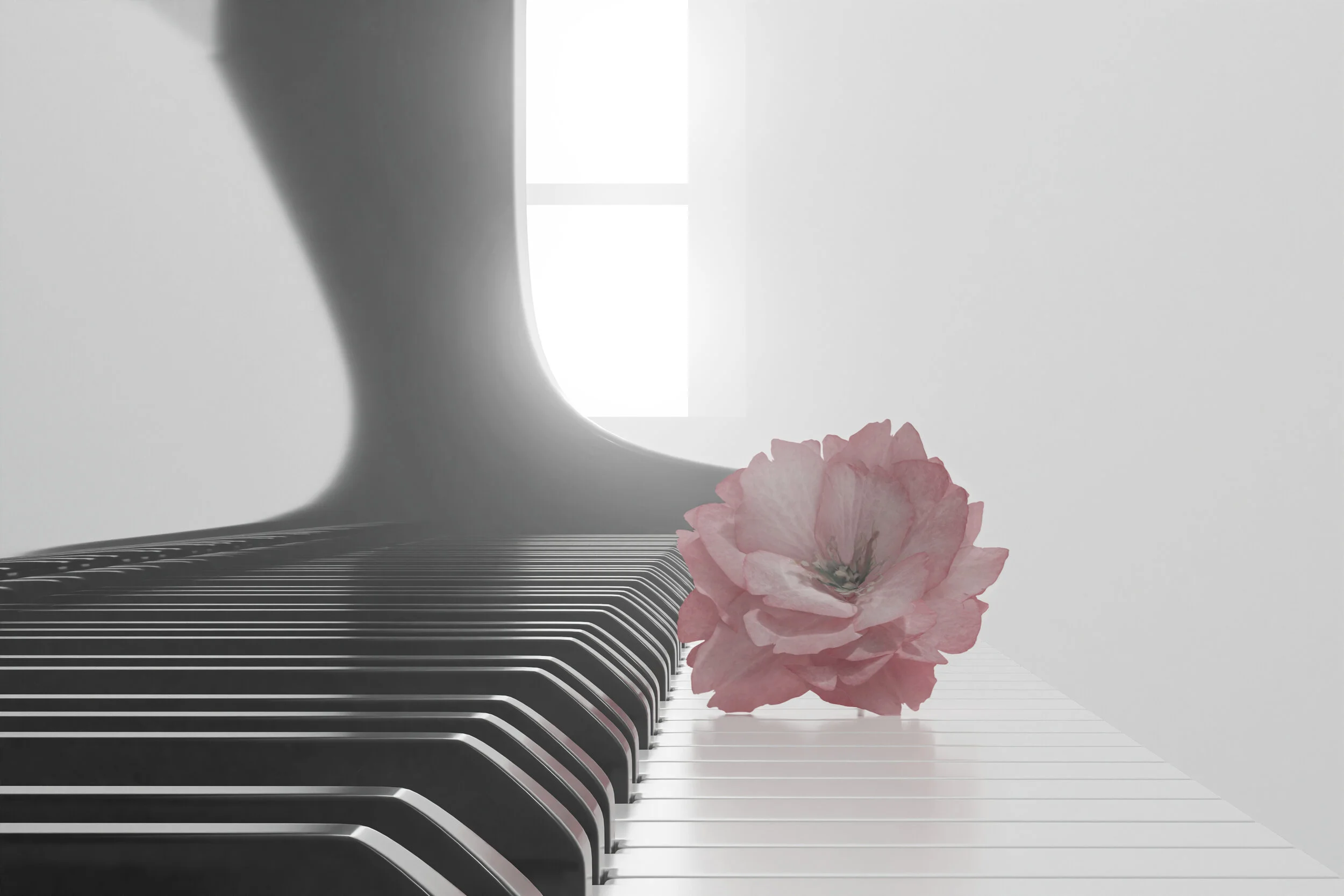 Rhapsody In Bloom