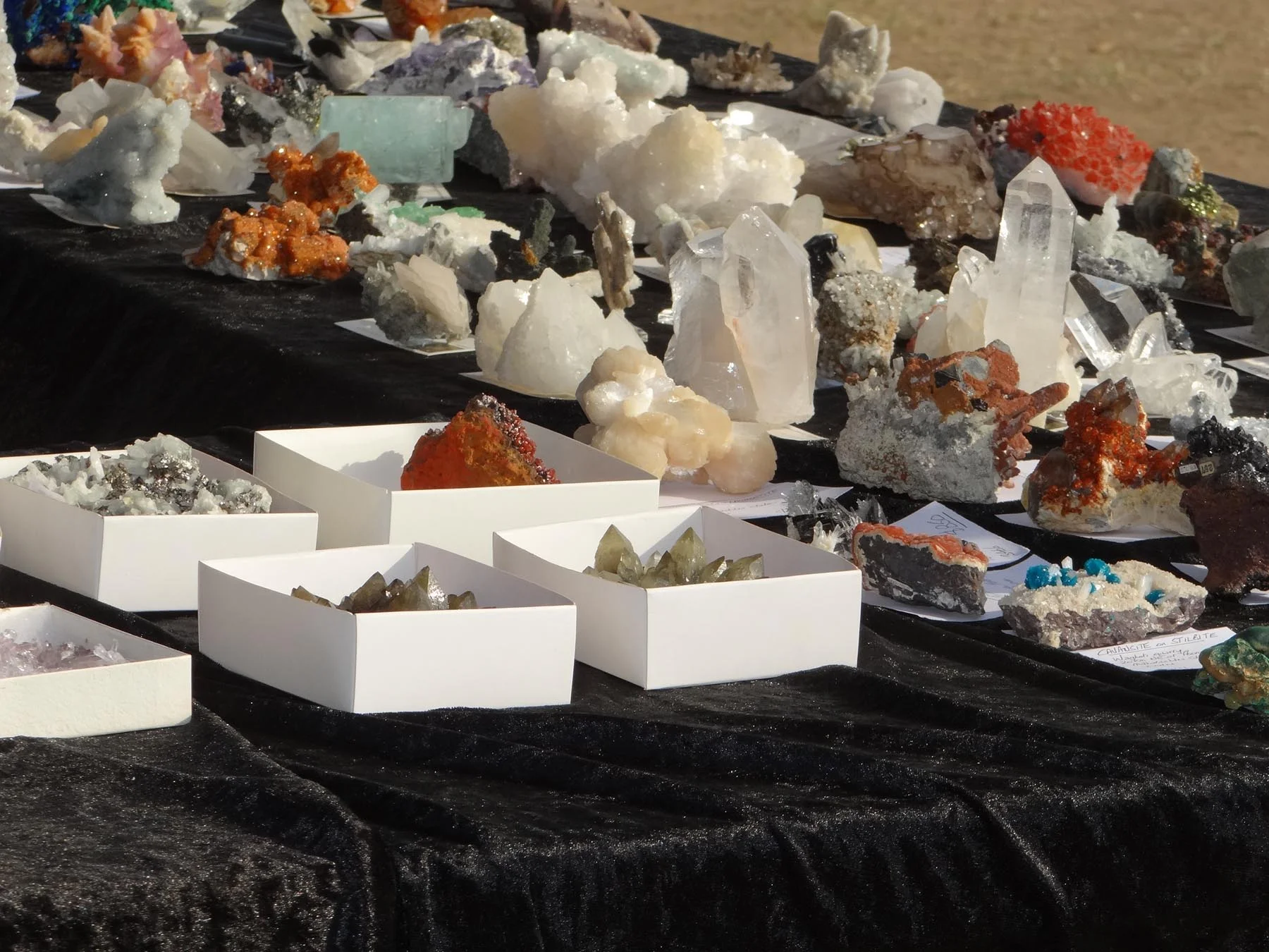 TGMS Rock Swap & Potluck