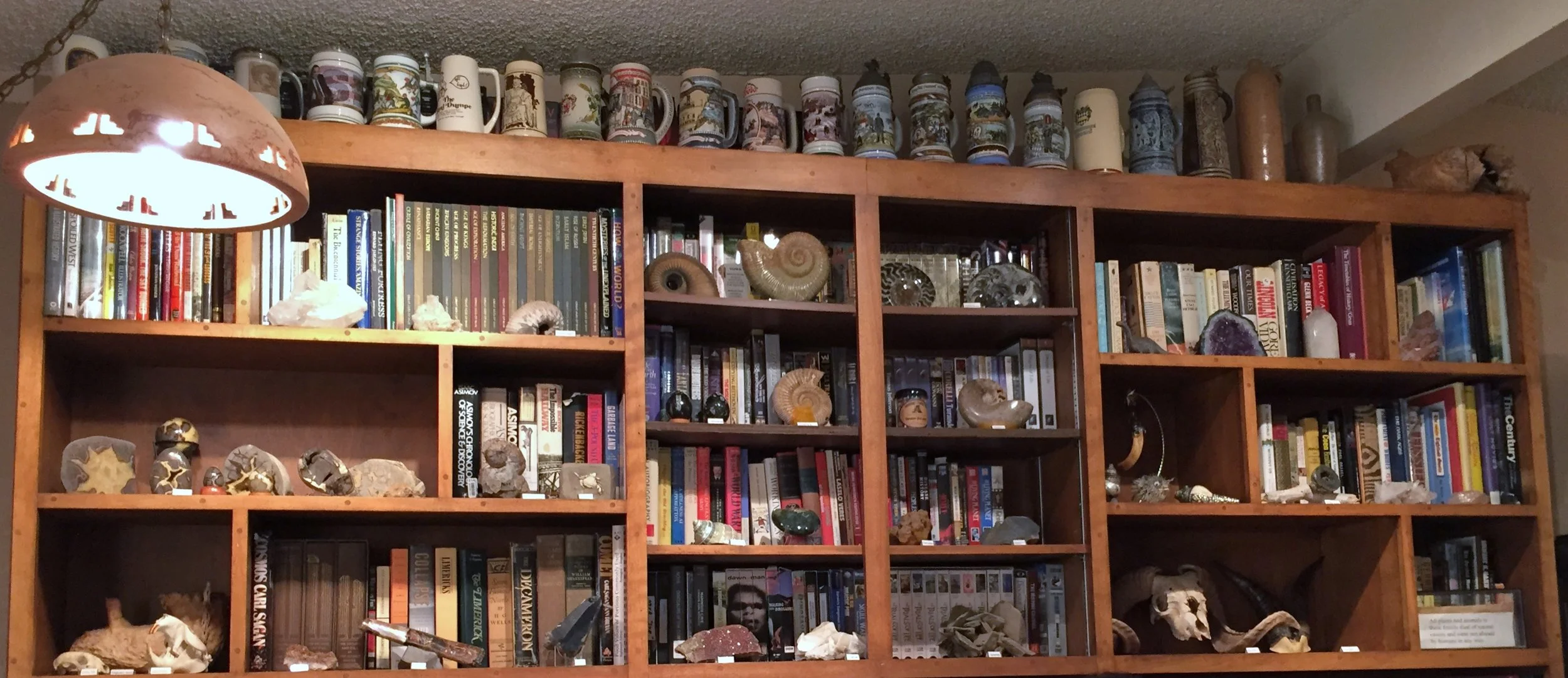 Fossils, Rocks, Artifacts, and Whimsey!